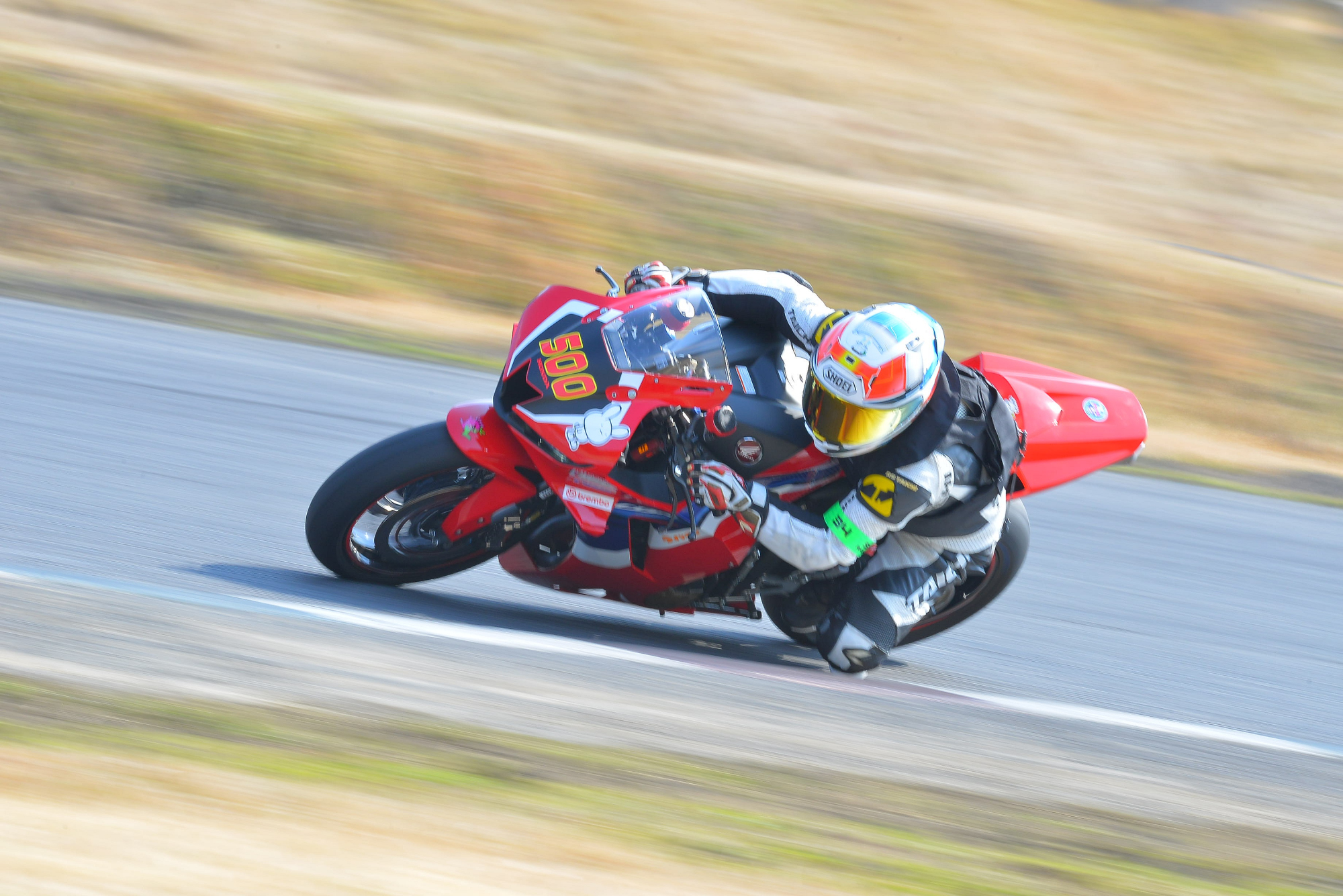 D8J_0483.JPG