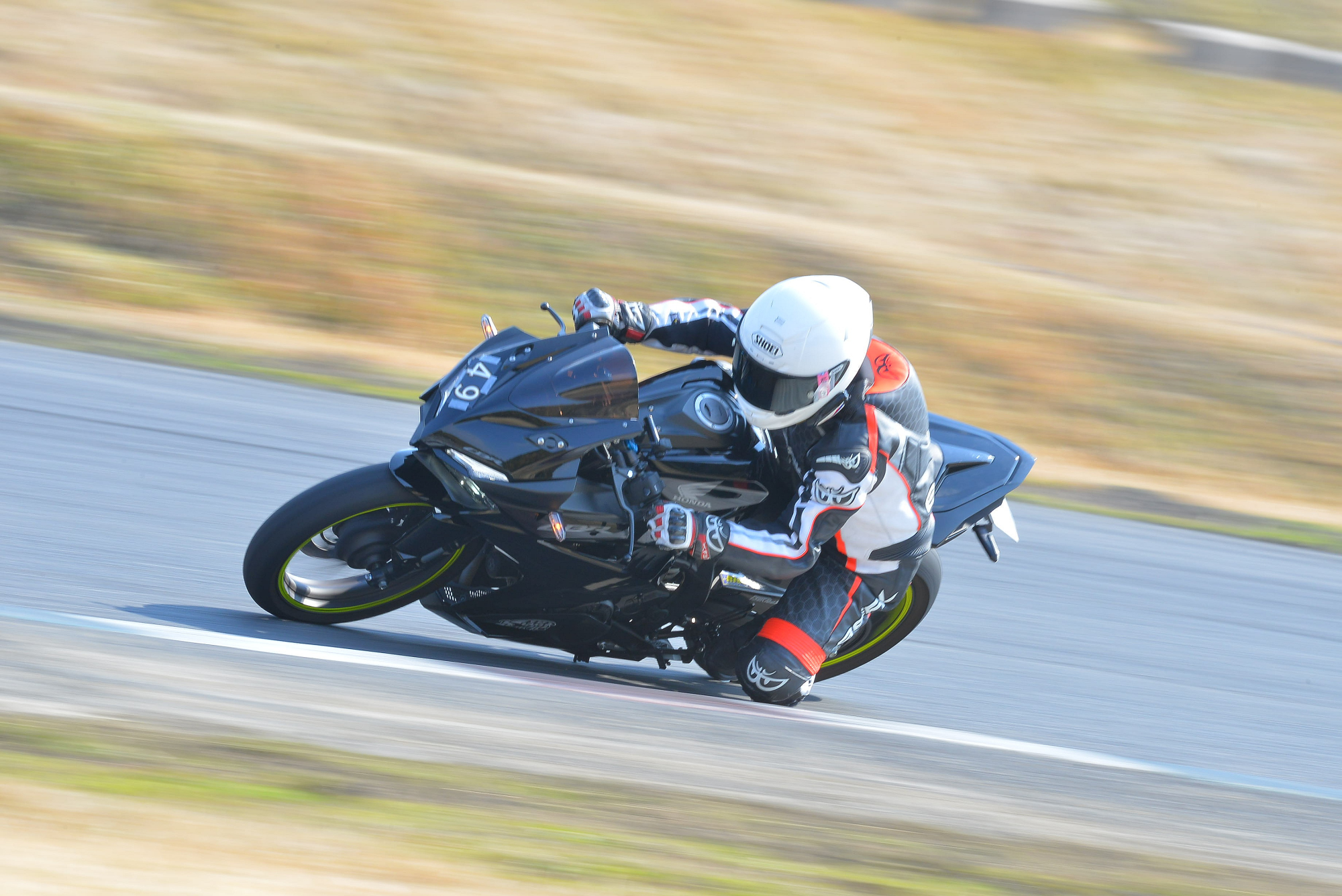 D8J_0486.JPG