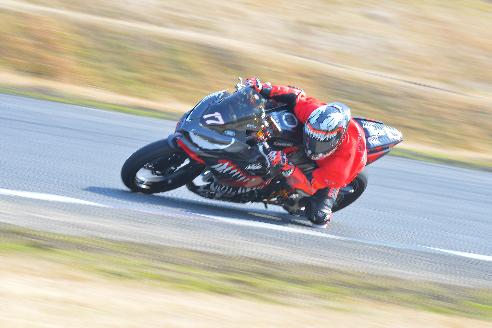D8J_0492.JPG