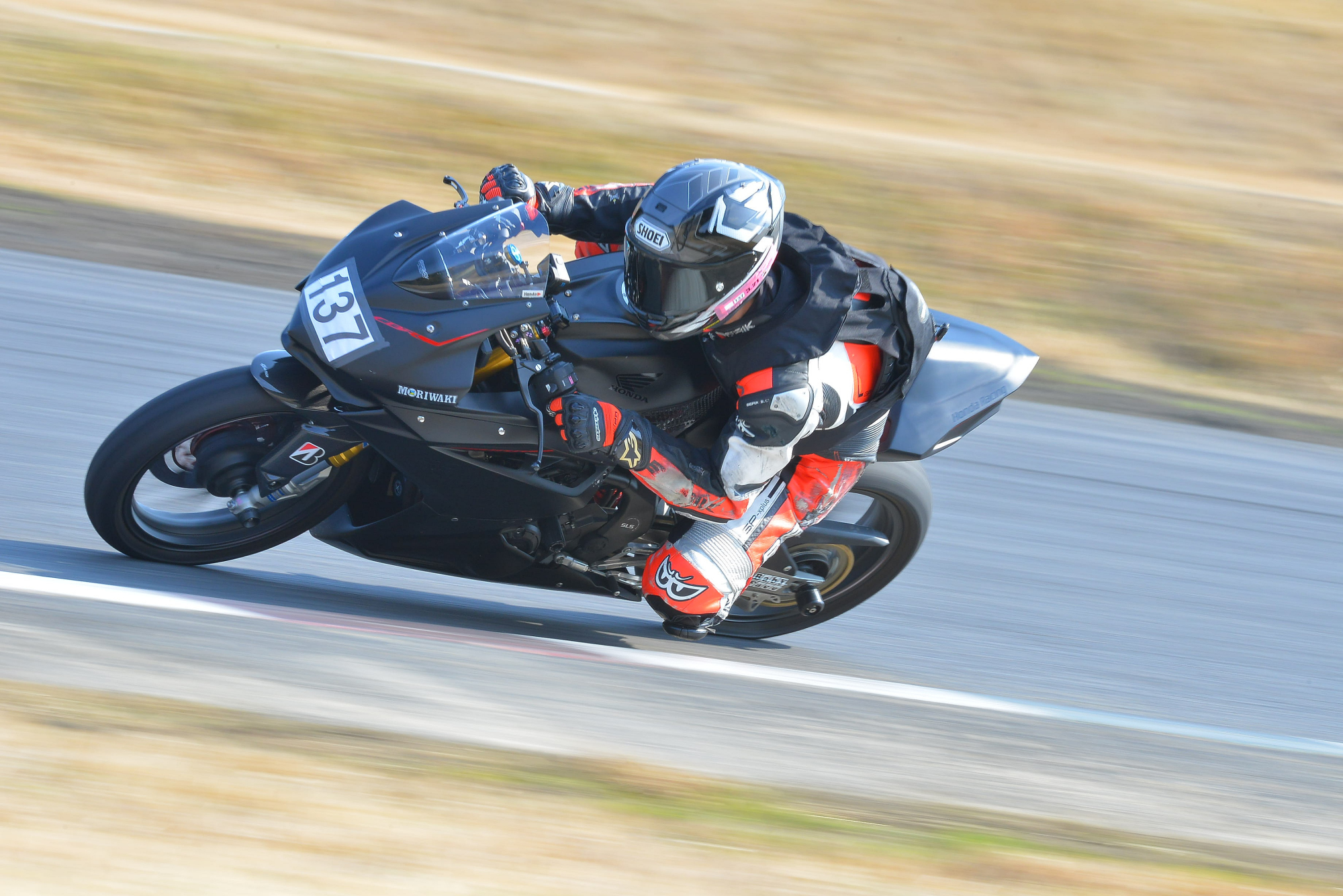D8J_0562.JPG