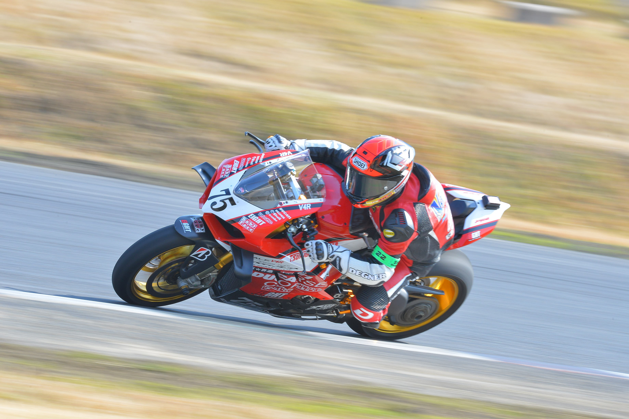D8J_0578.JPG