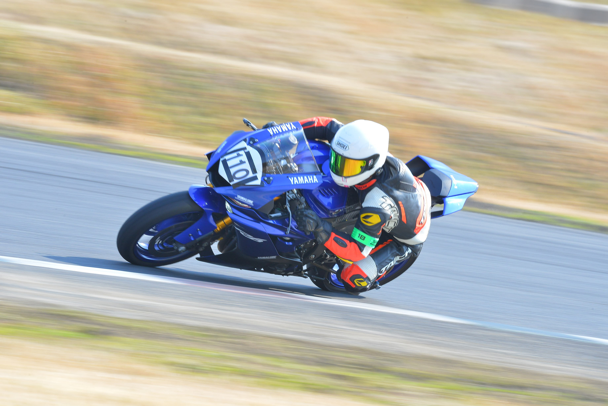 D8J_0595.JPG