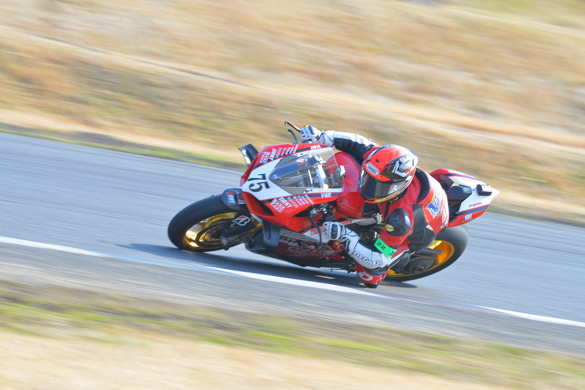 D8J_0631.JPG