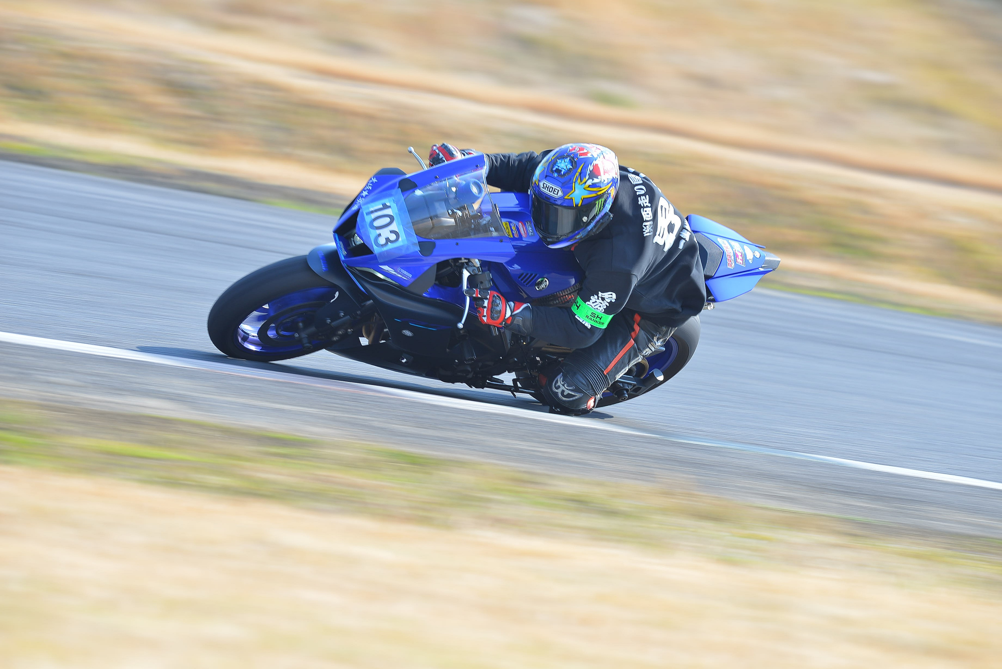 D8J_0658.JPG