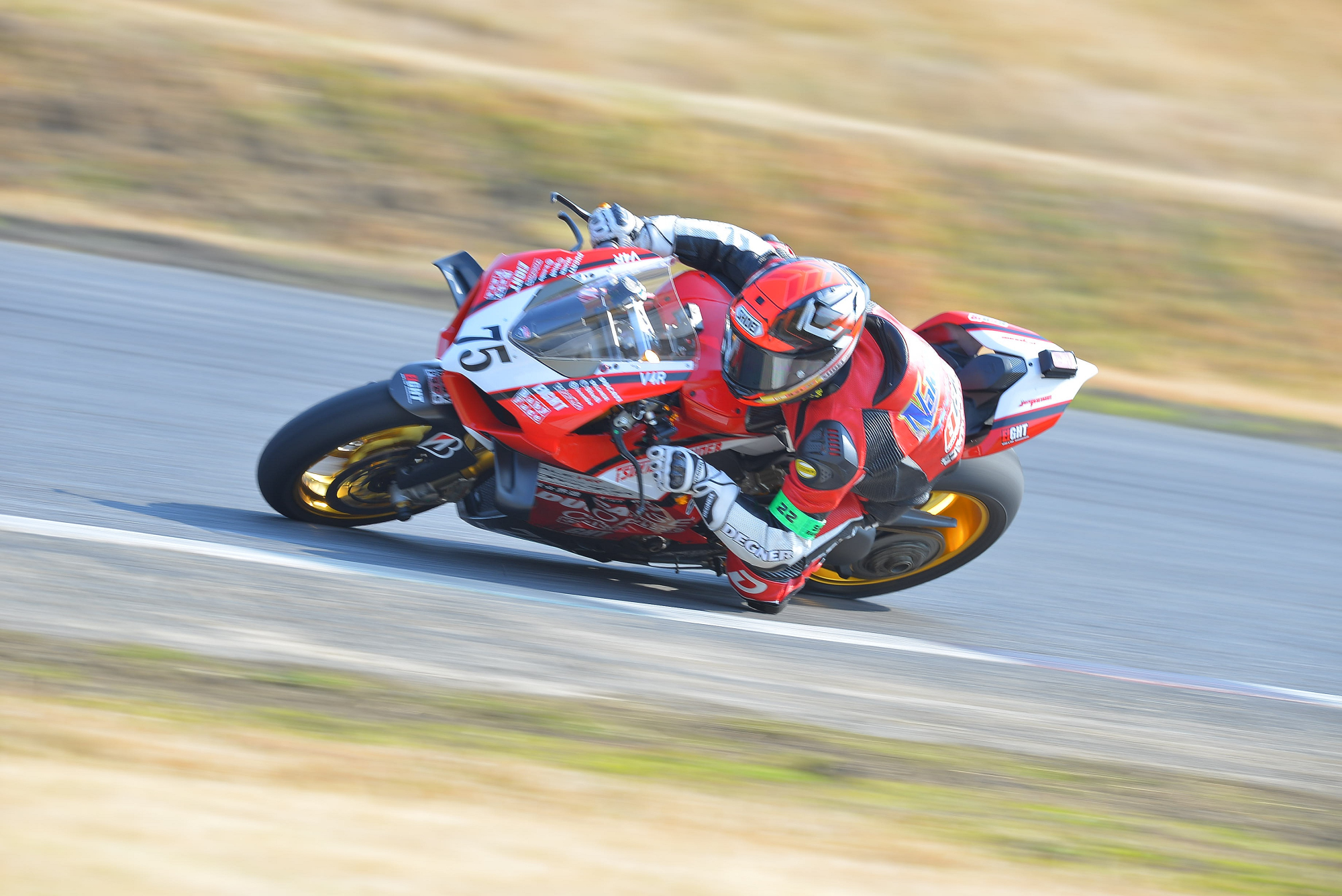 D8J_0668.JPG