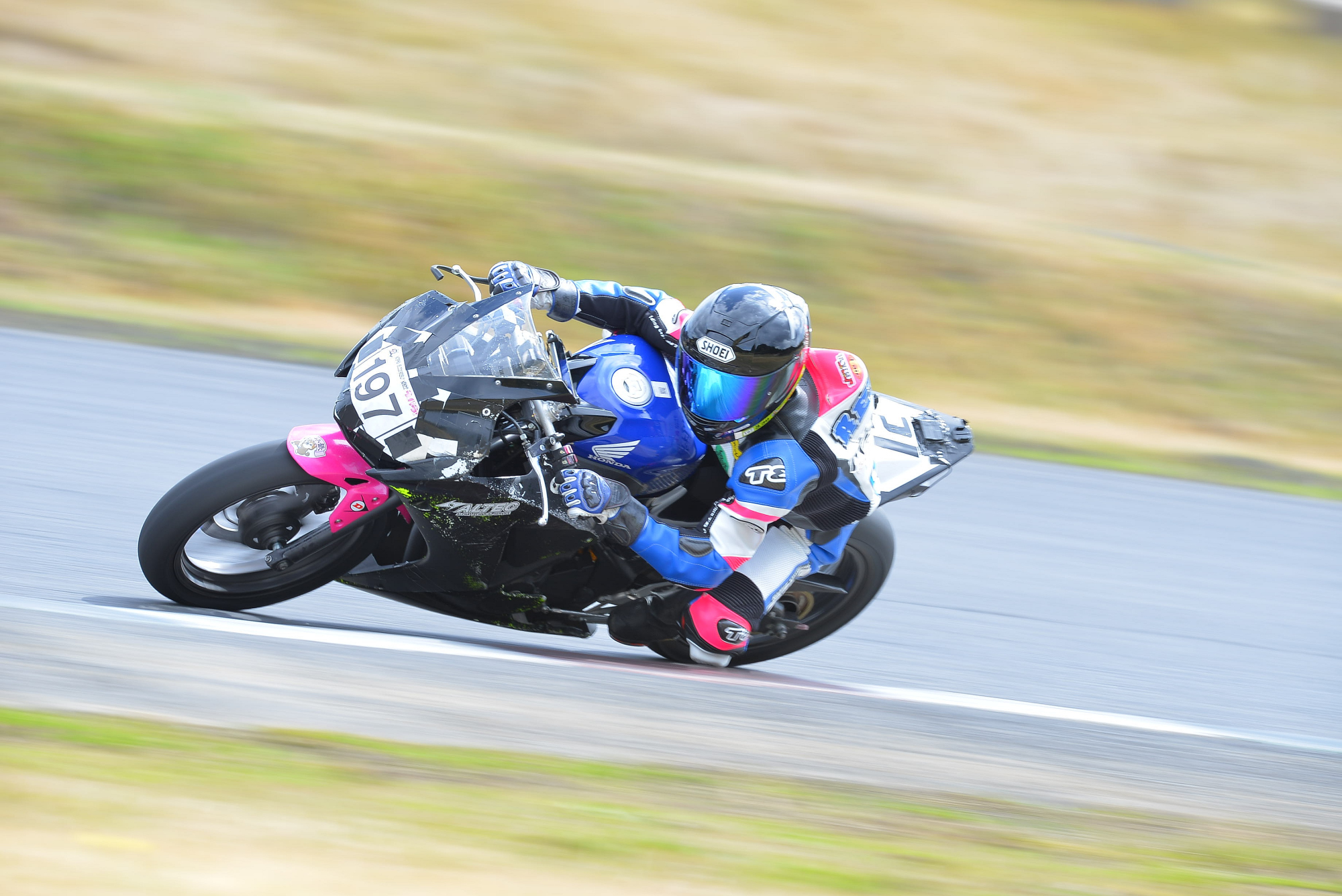D8J_0071.JPG