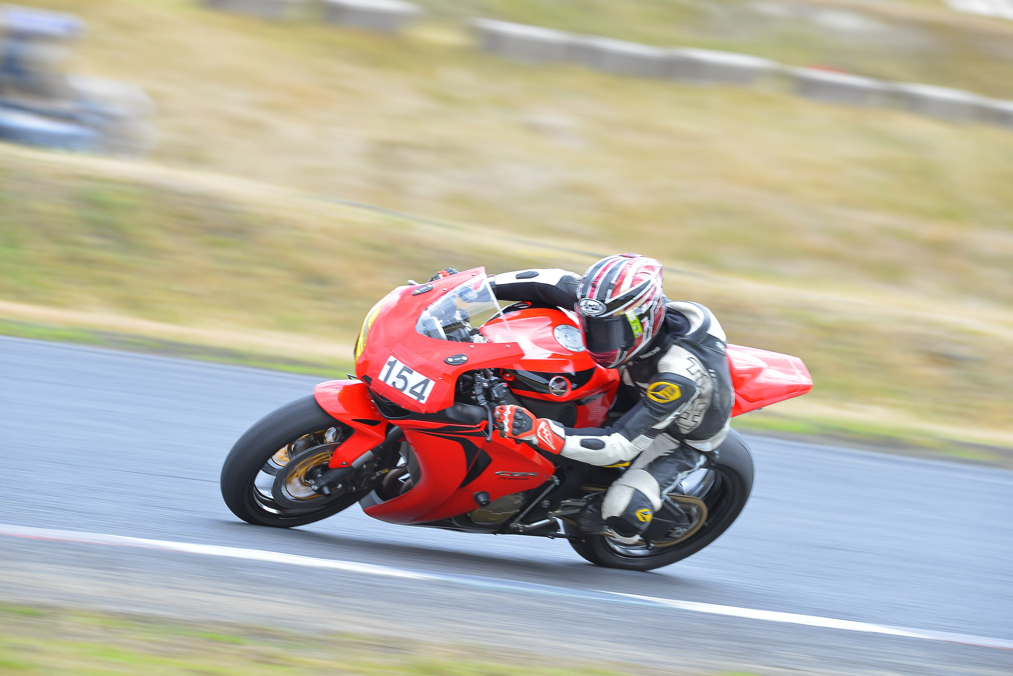 D8J_0081.JPG