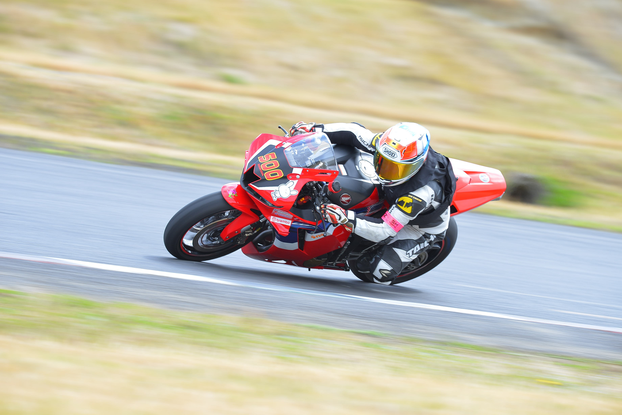 D8J_0129.JPG