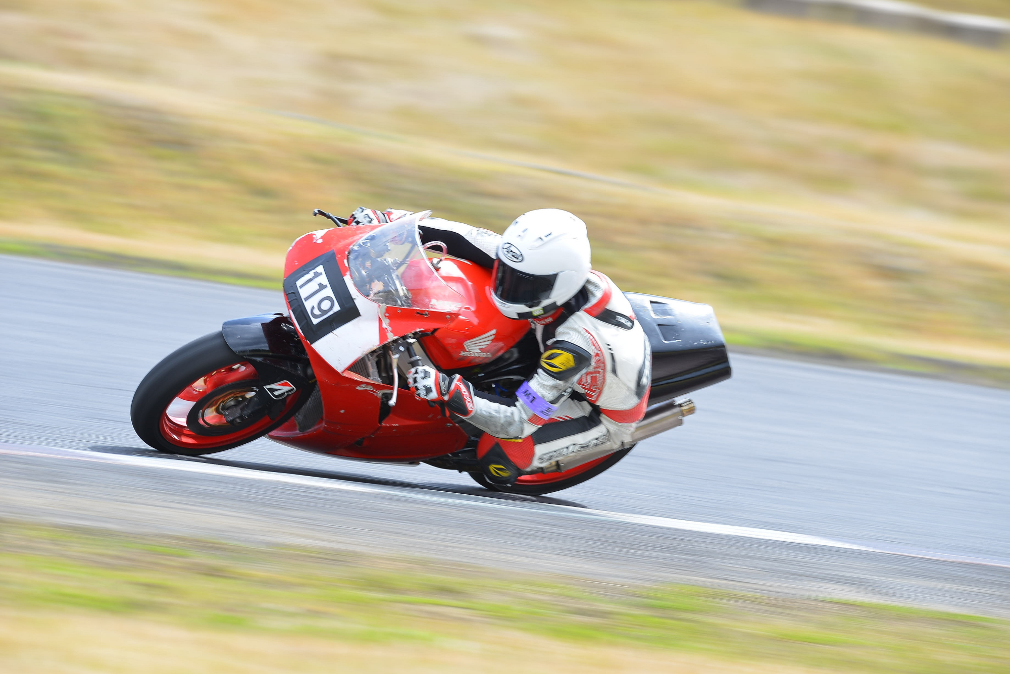 D8J_0133.JPG