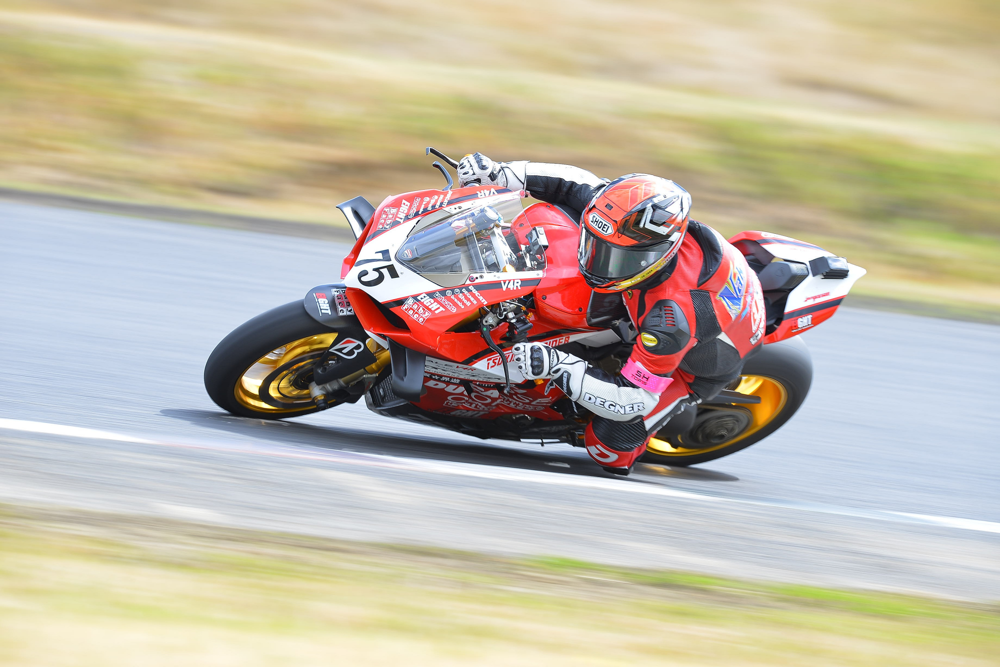 D8J_0135.JPG