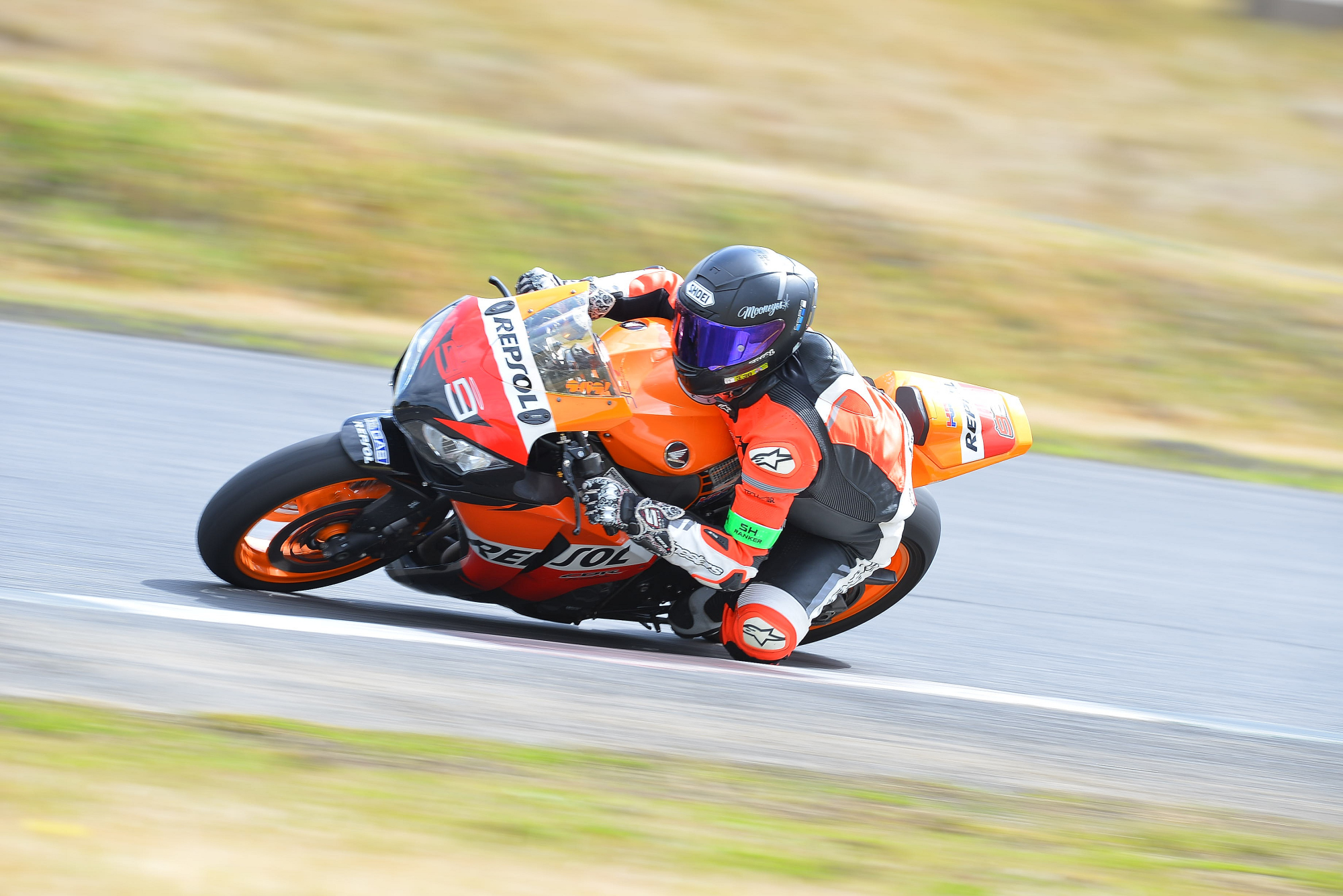 D8J_0139.JPG