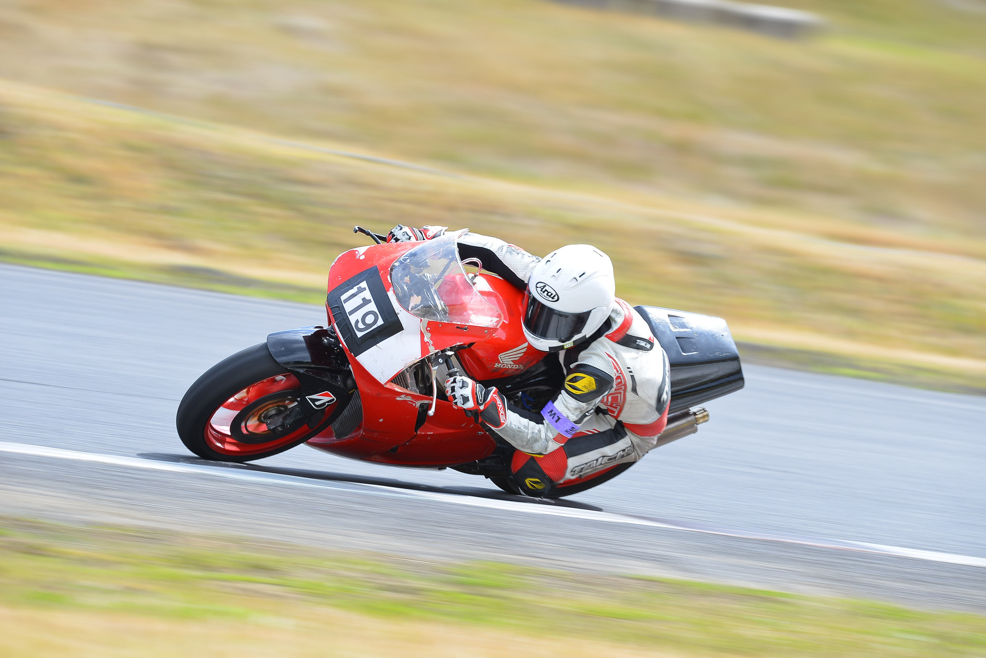 D8J_0141.JPG