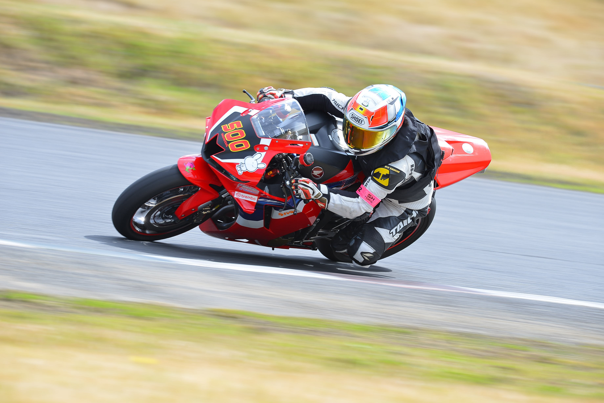 D8J_0169.JPG