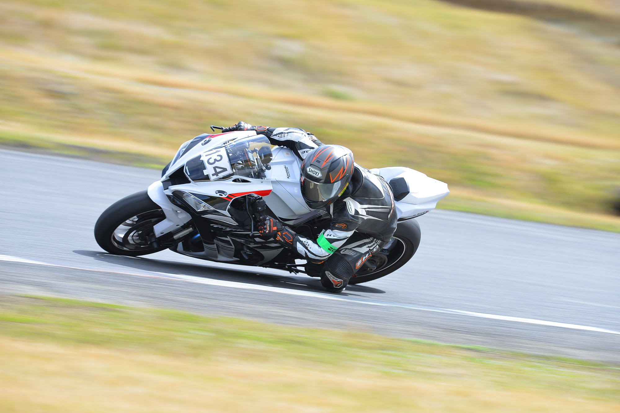 D8J_0170.JPG