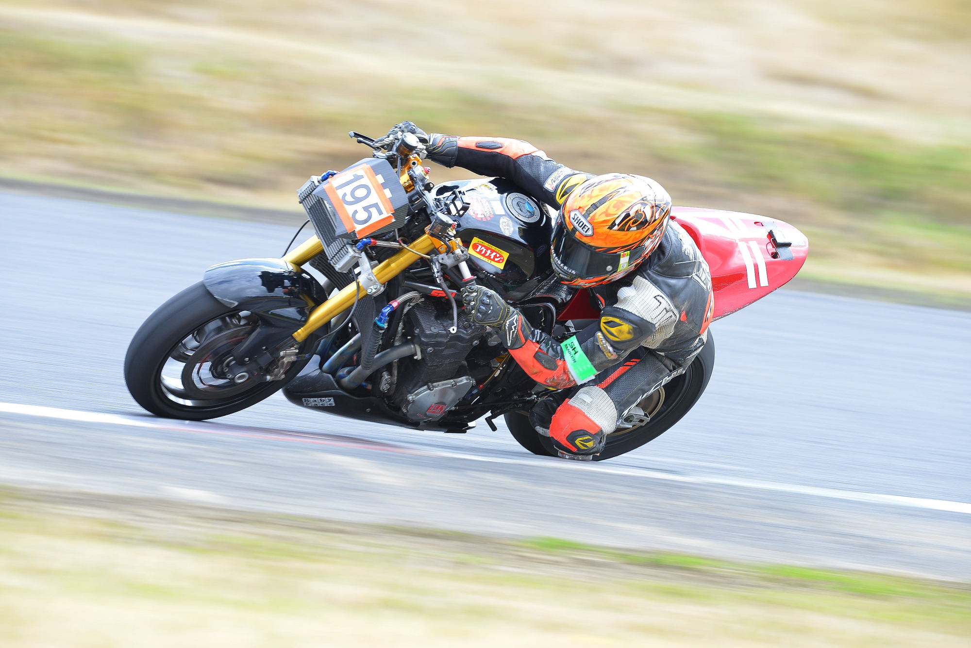 D8J_0179.JPG