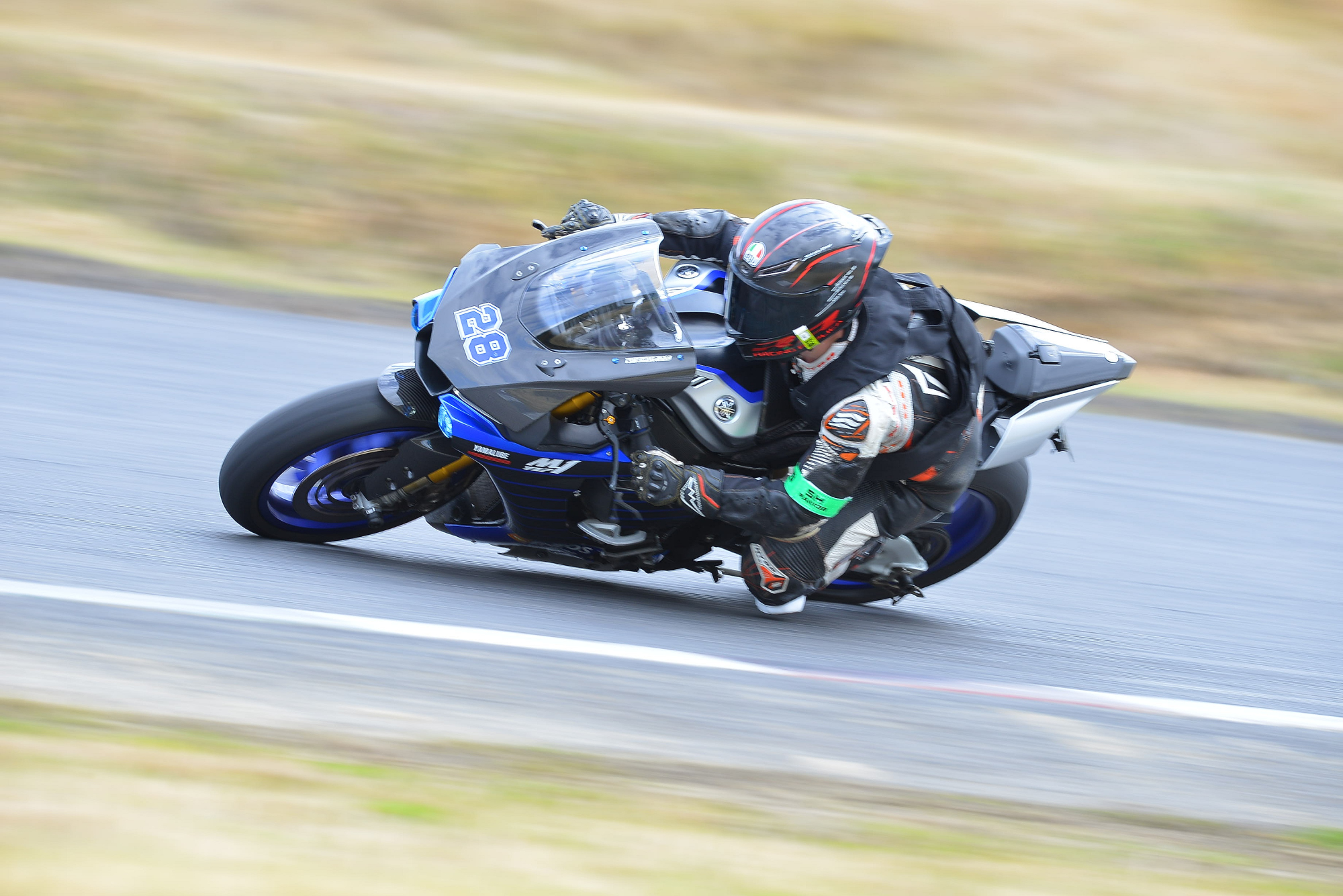 D8J_0203.JPG