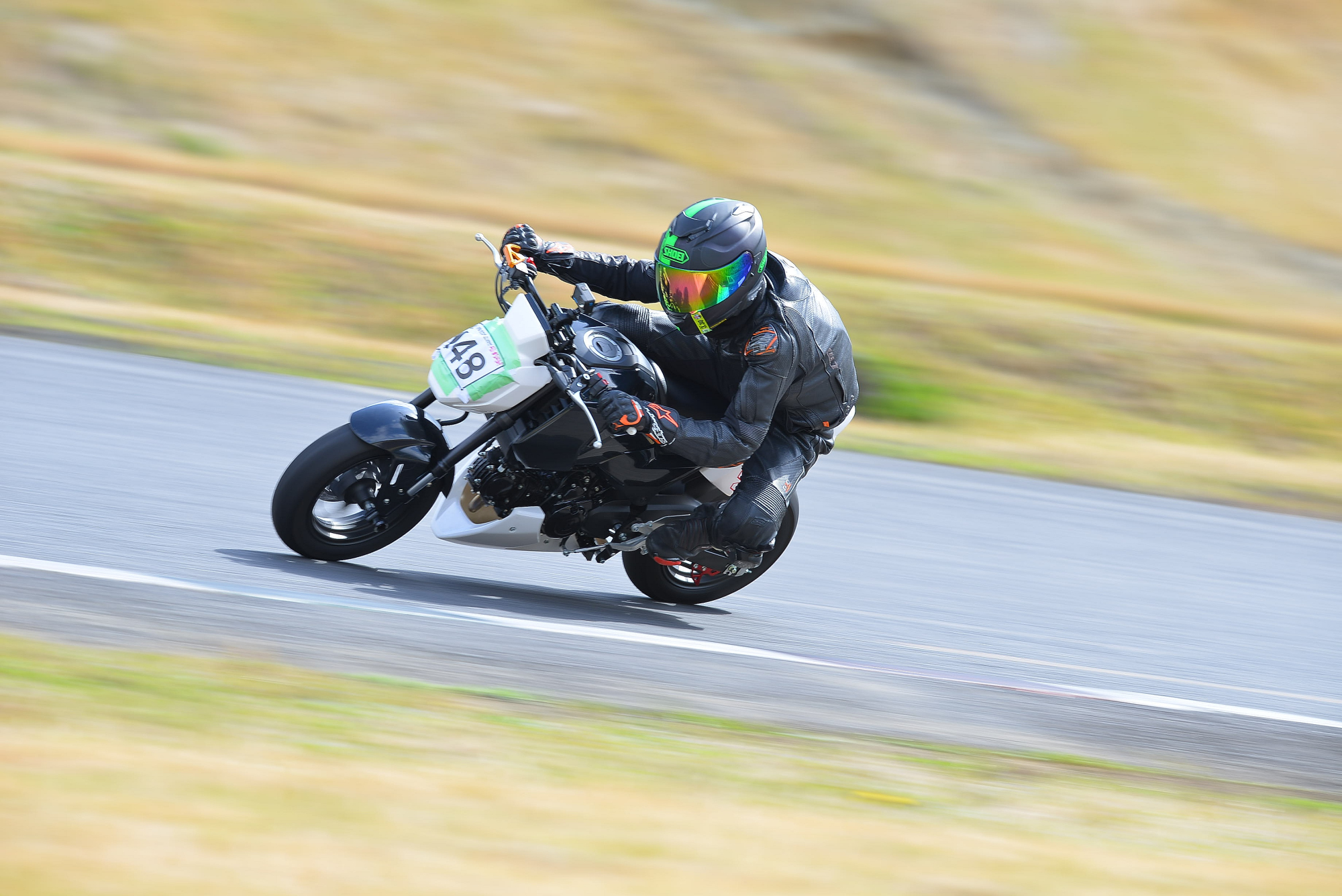 D8J_0277.JPG