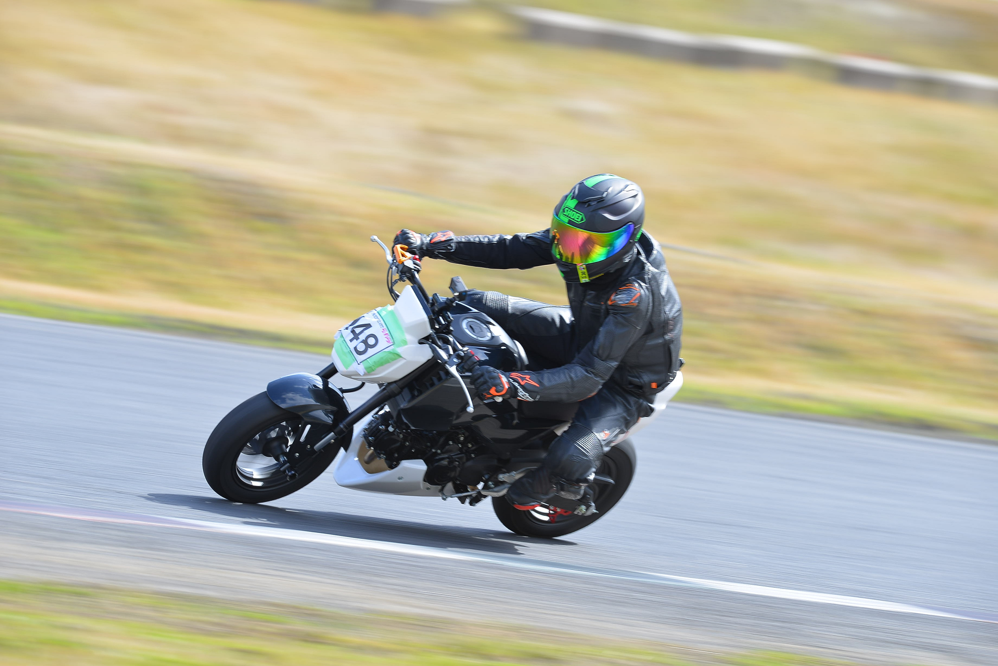 D8J_0301.JPG
