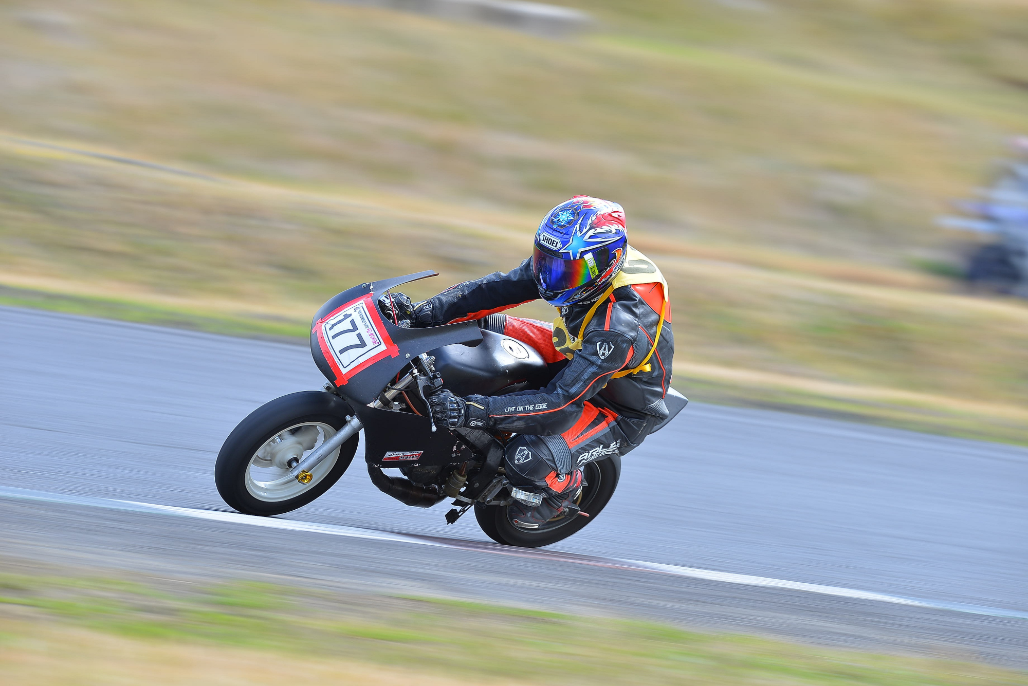 D8J_0320.JPG
