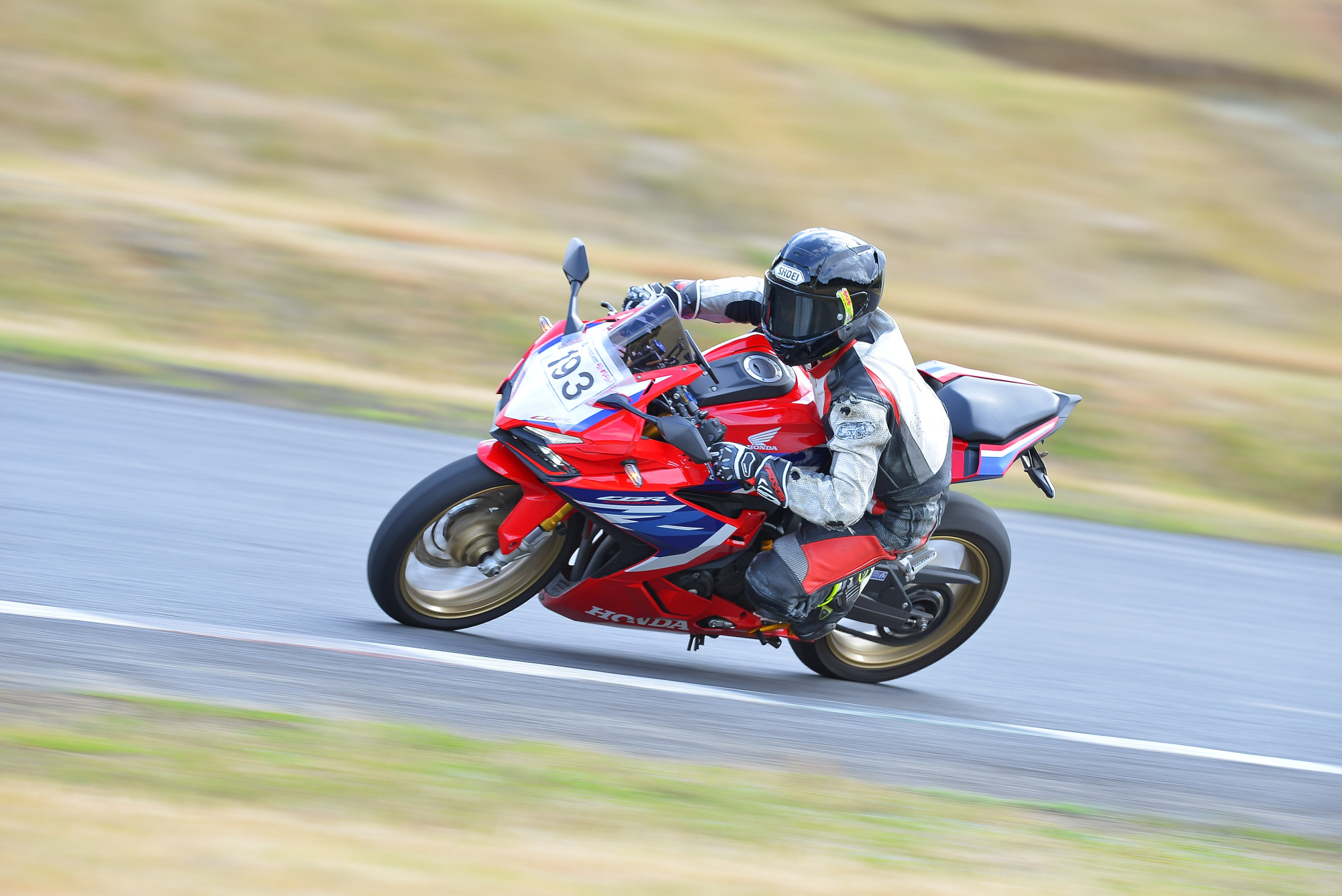 D8J_0345.JPG