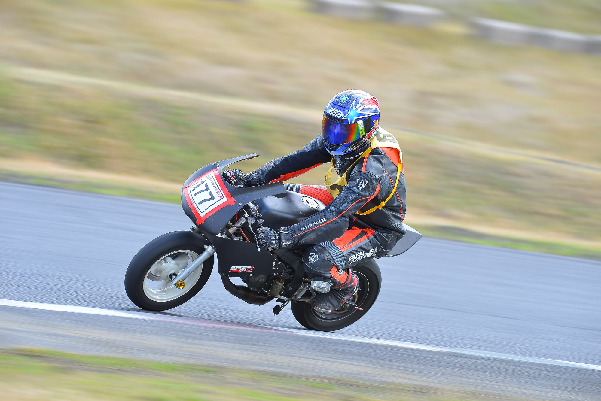 D8J_0357.JPG