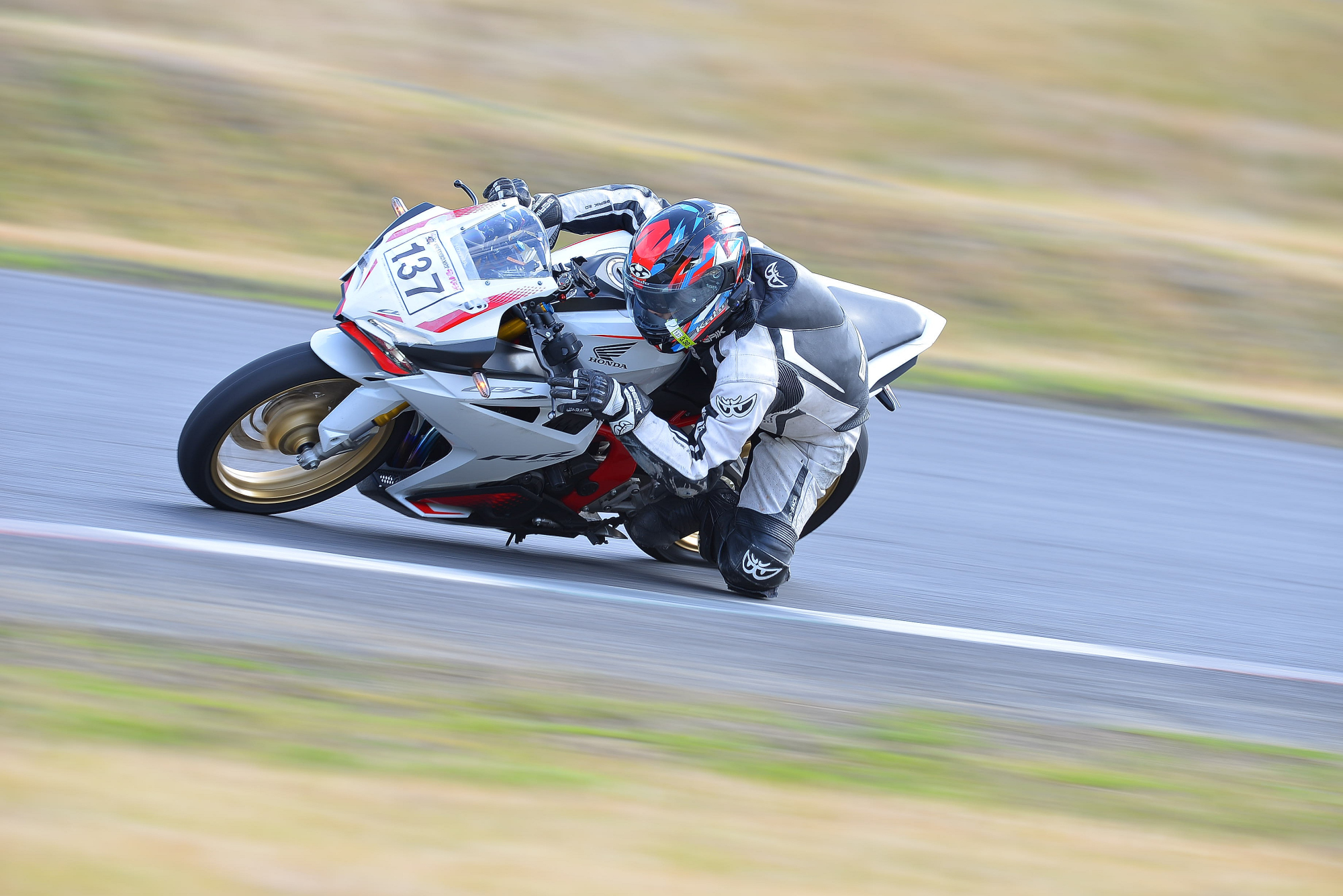 D8J_0380.JPG