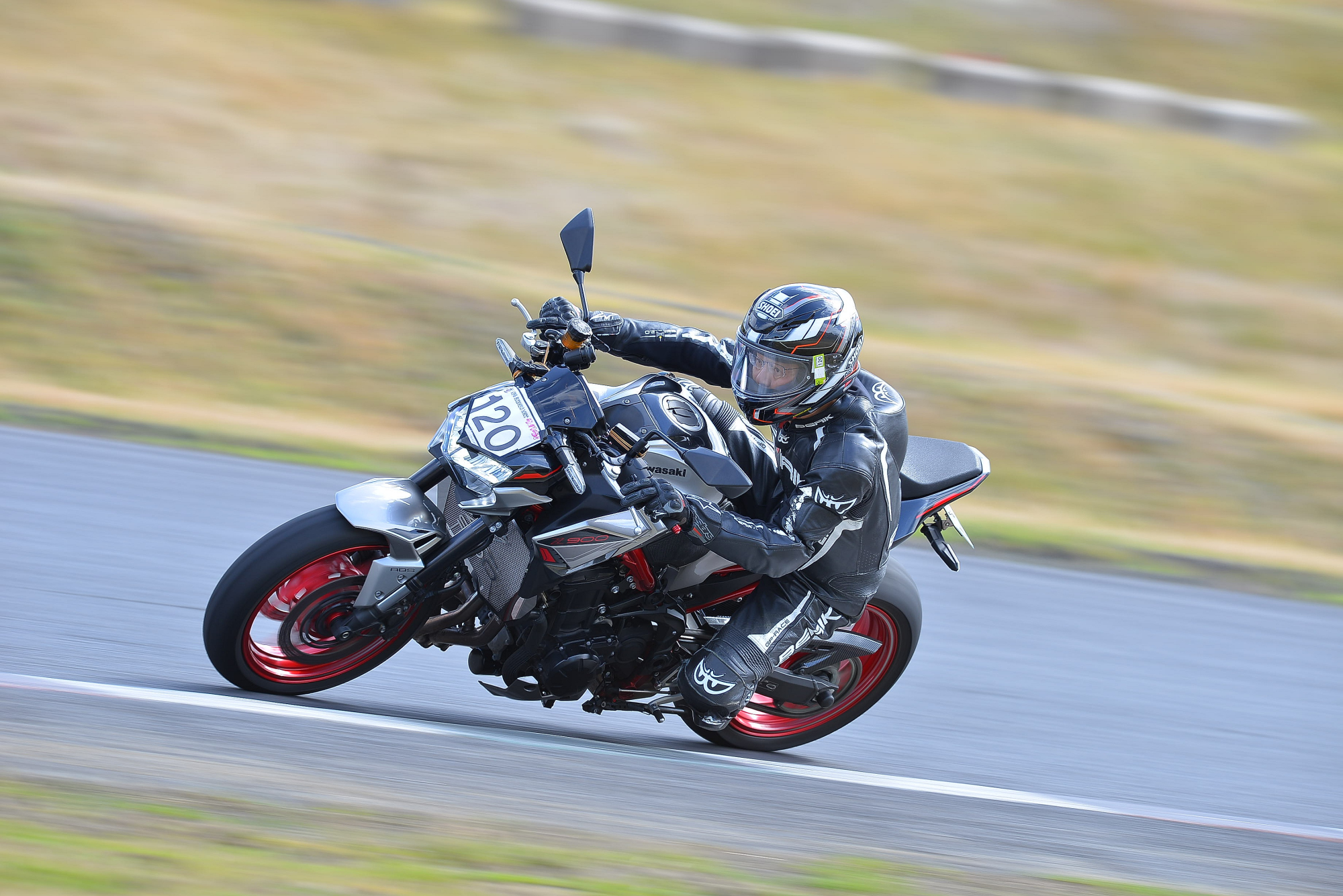 D8J_0393.JPG