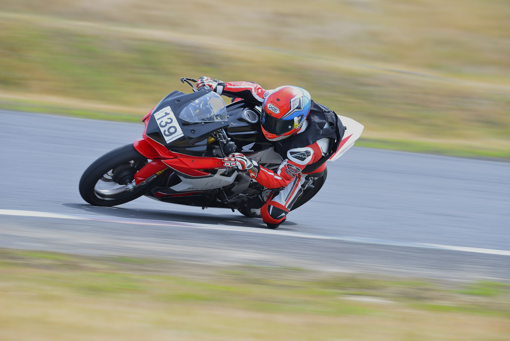 D8J_0019.JPG