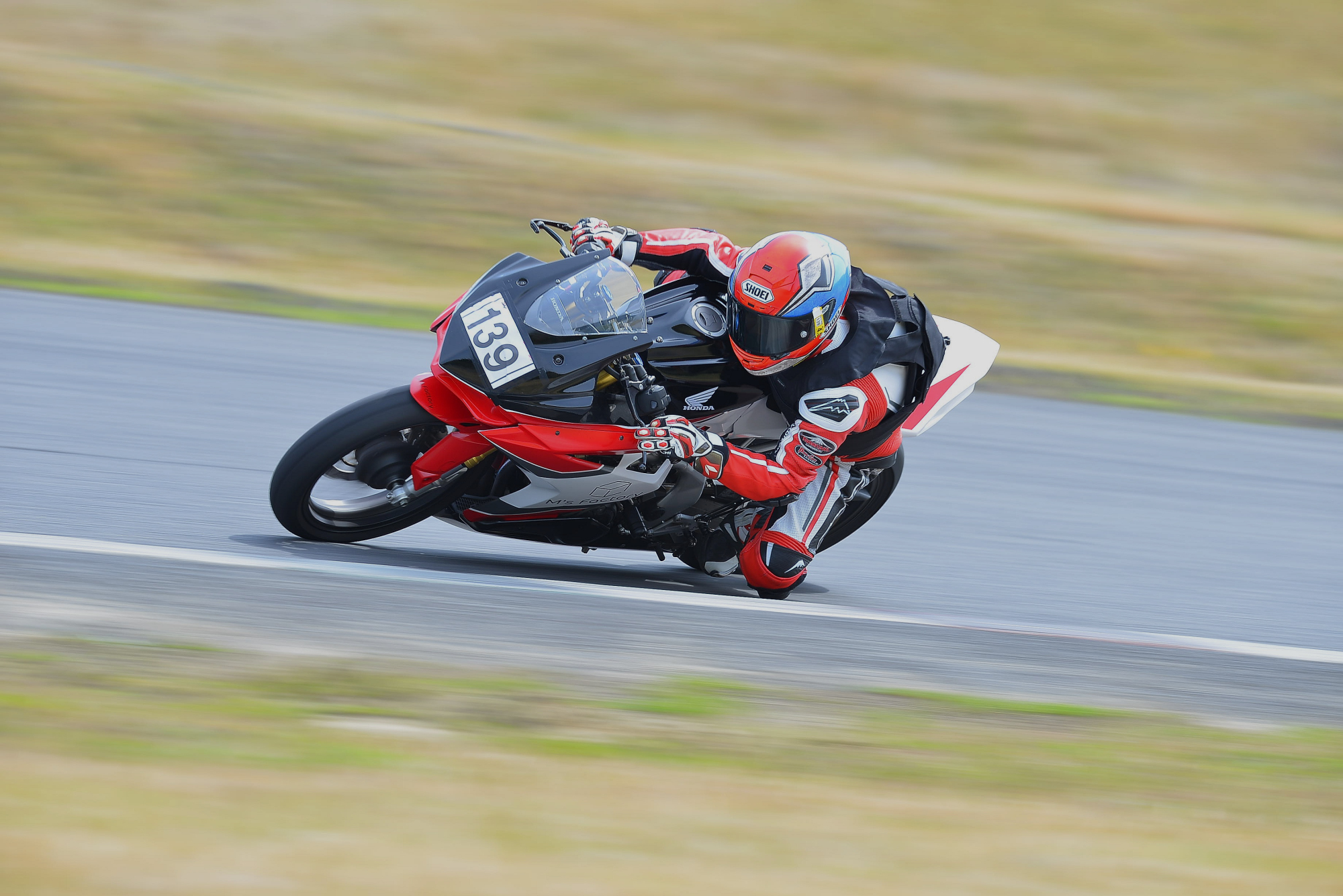 D8J_0039.JPG