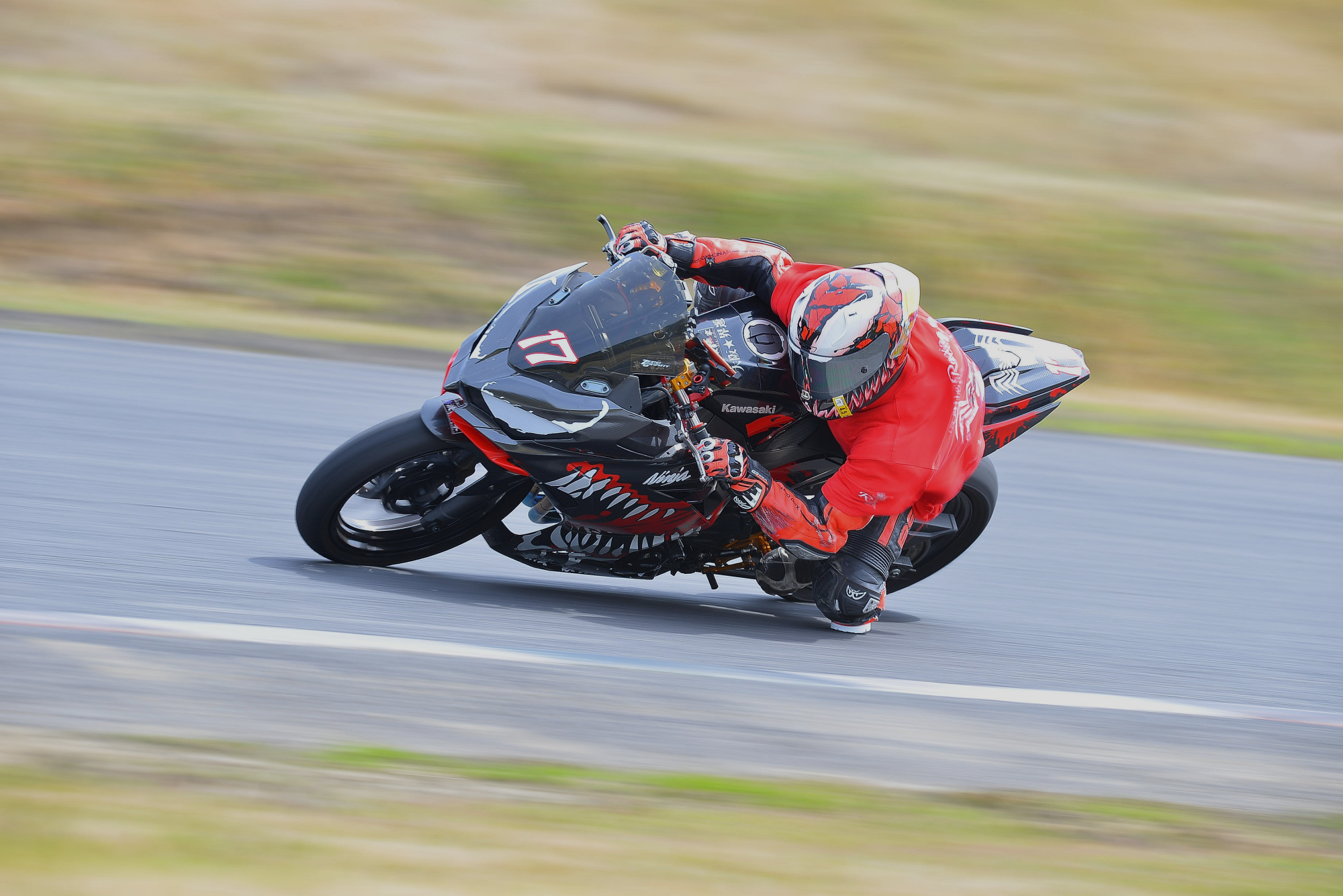 D8J_0041.JPG