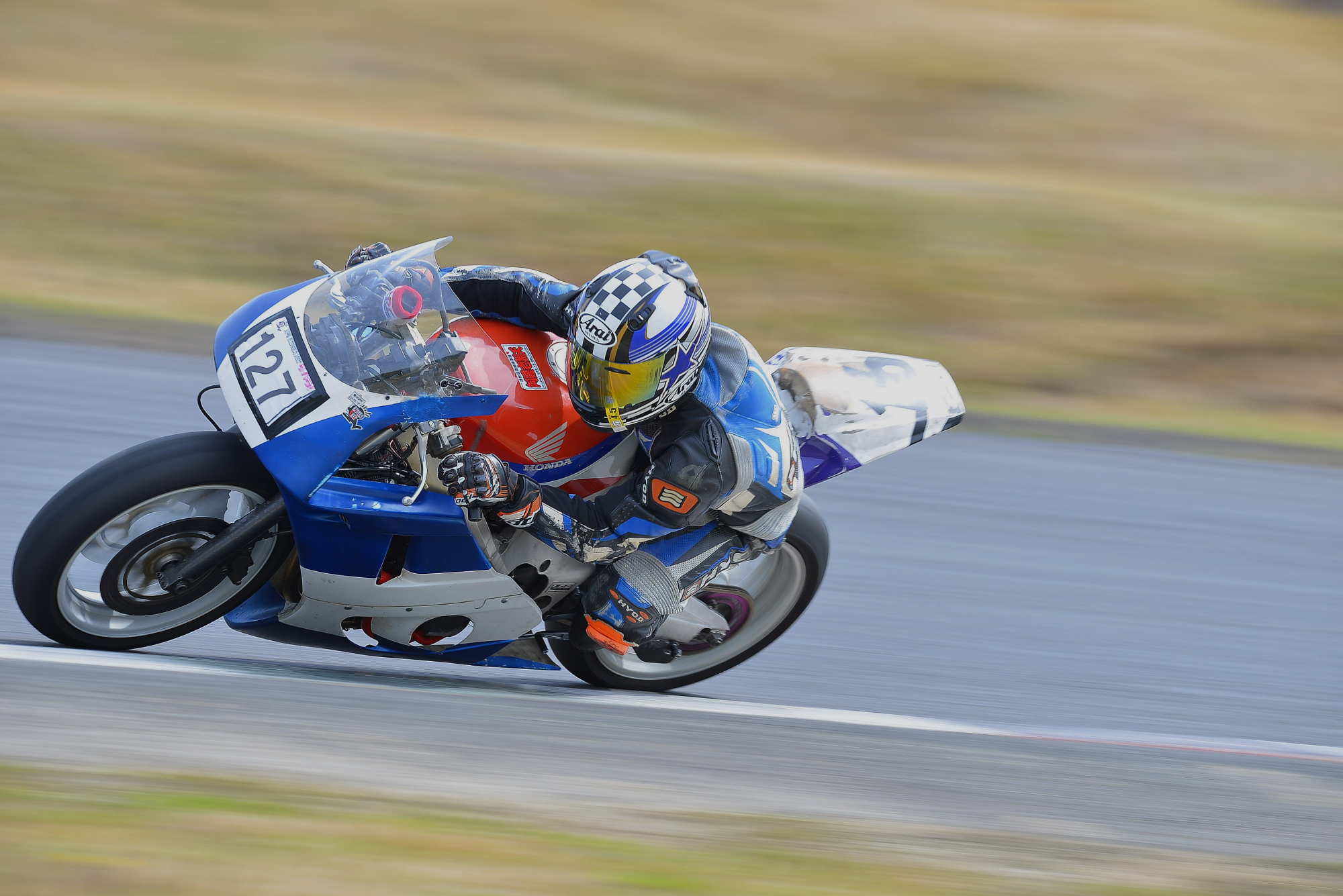 D8J_0048.JPG