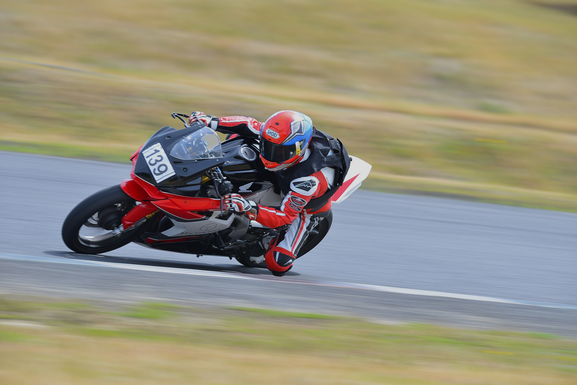 D8J_0059.JPG