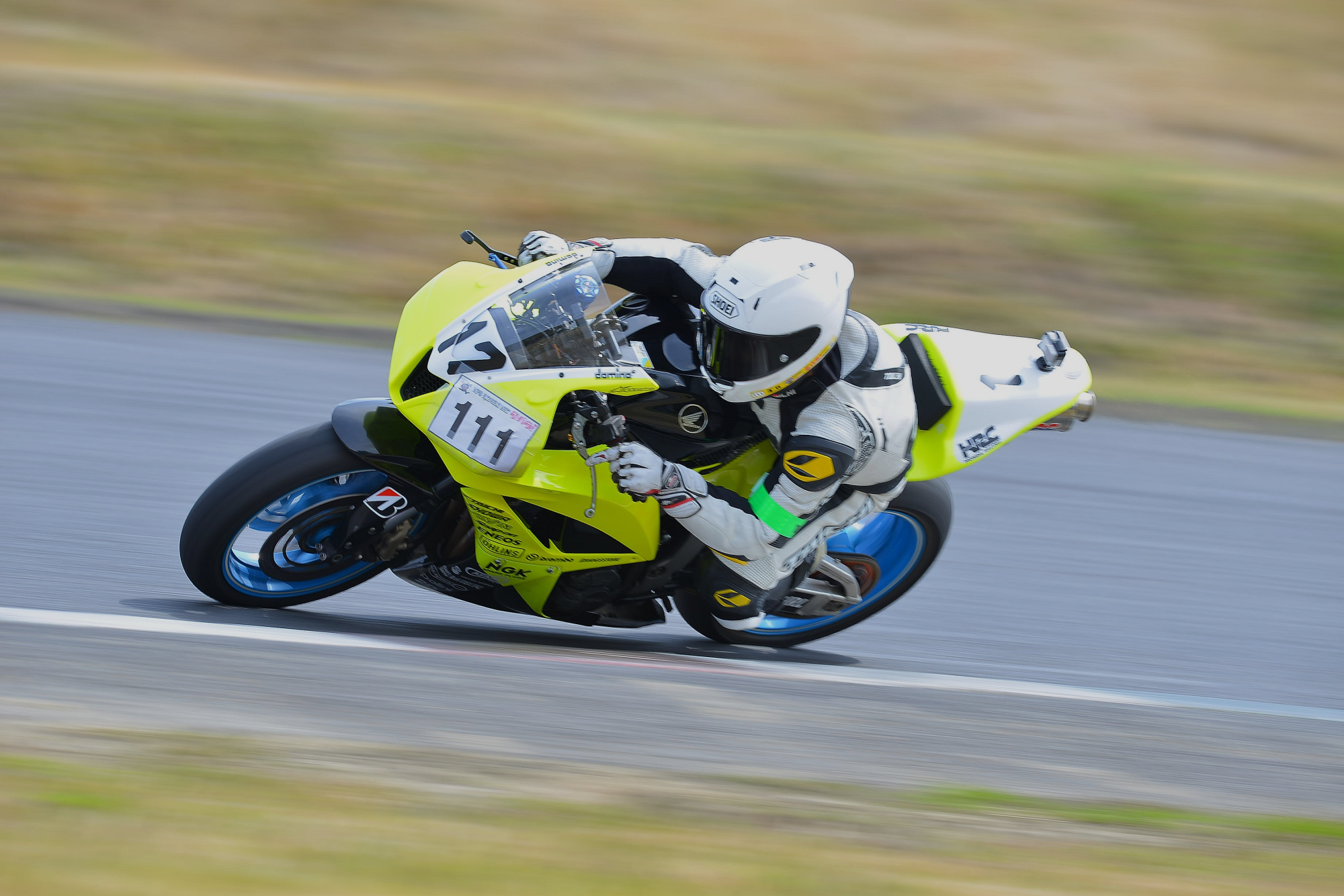 D8J_0073.JPG