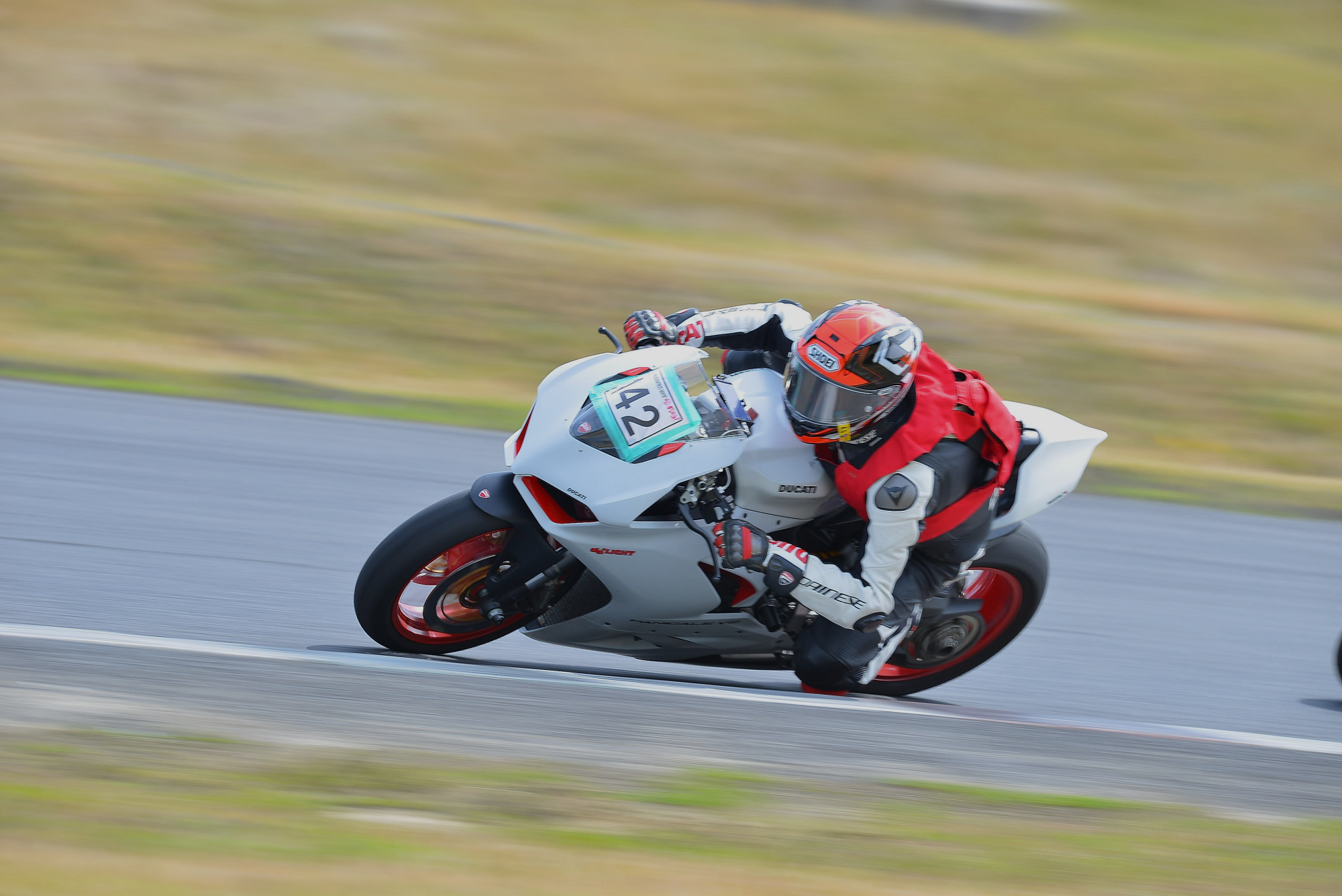 D8J_0092.JPG