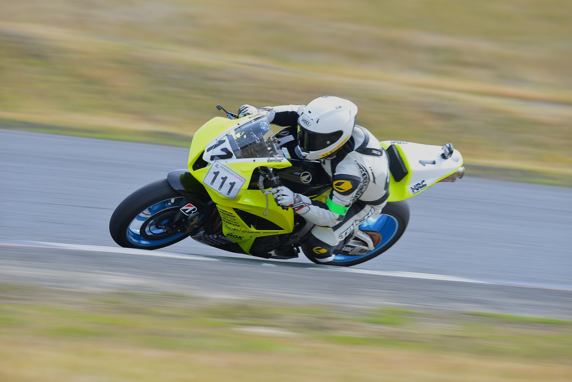 D8J_0124.JPG