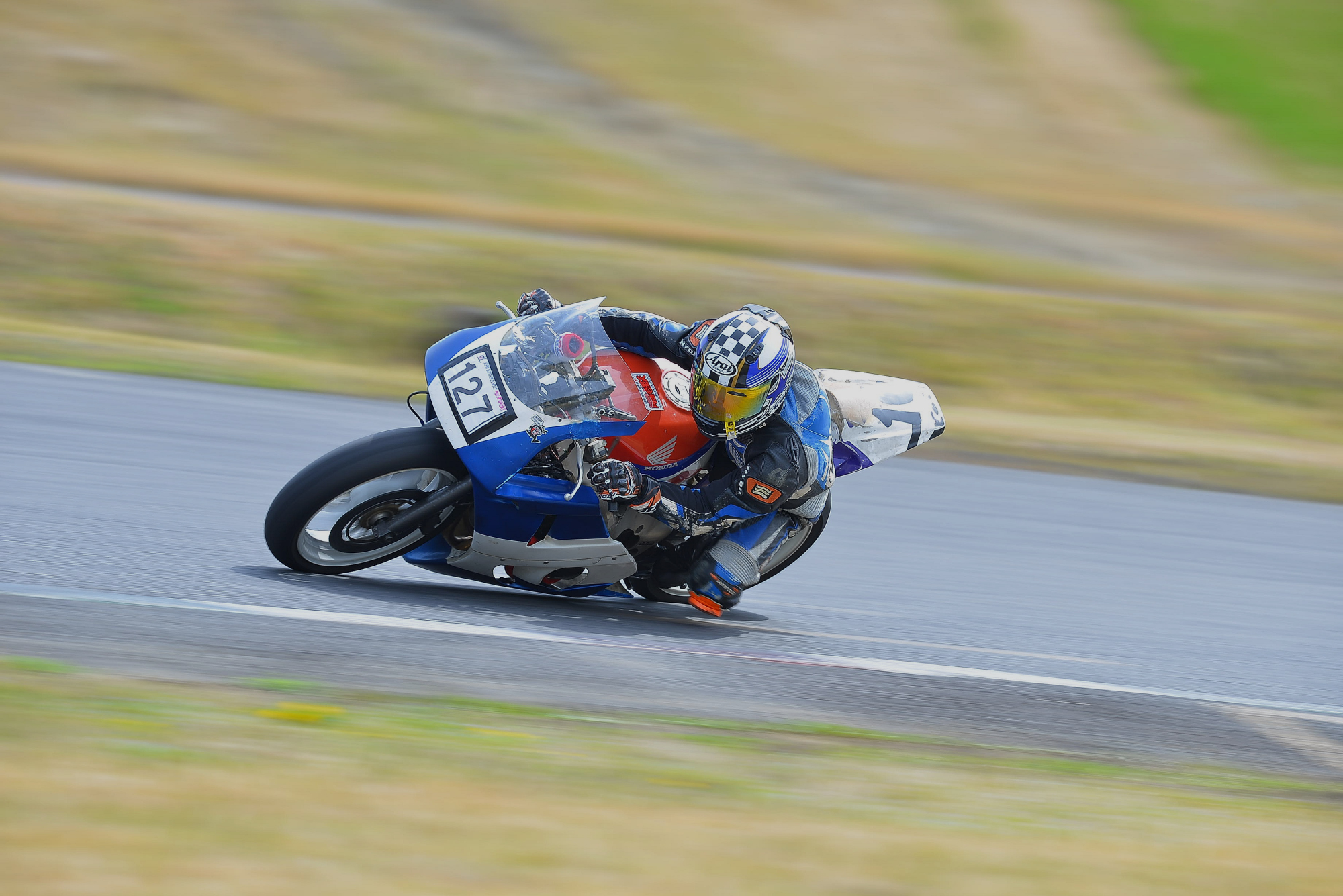 D8J_0135.JPG