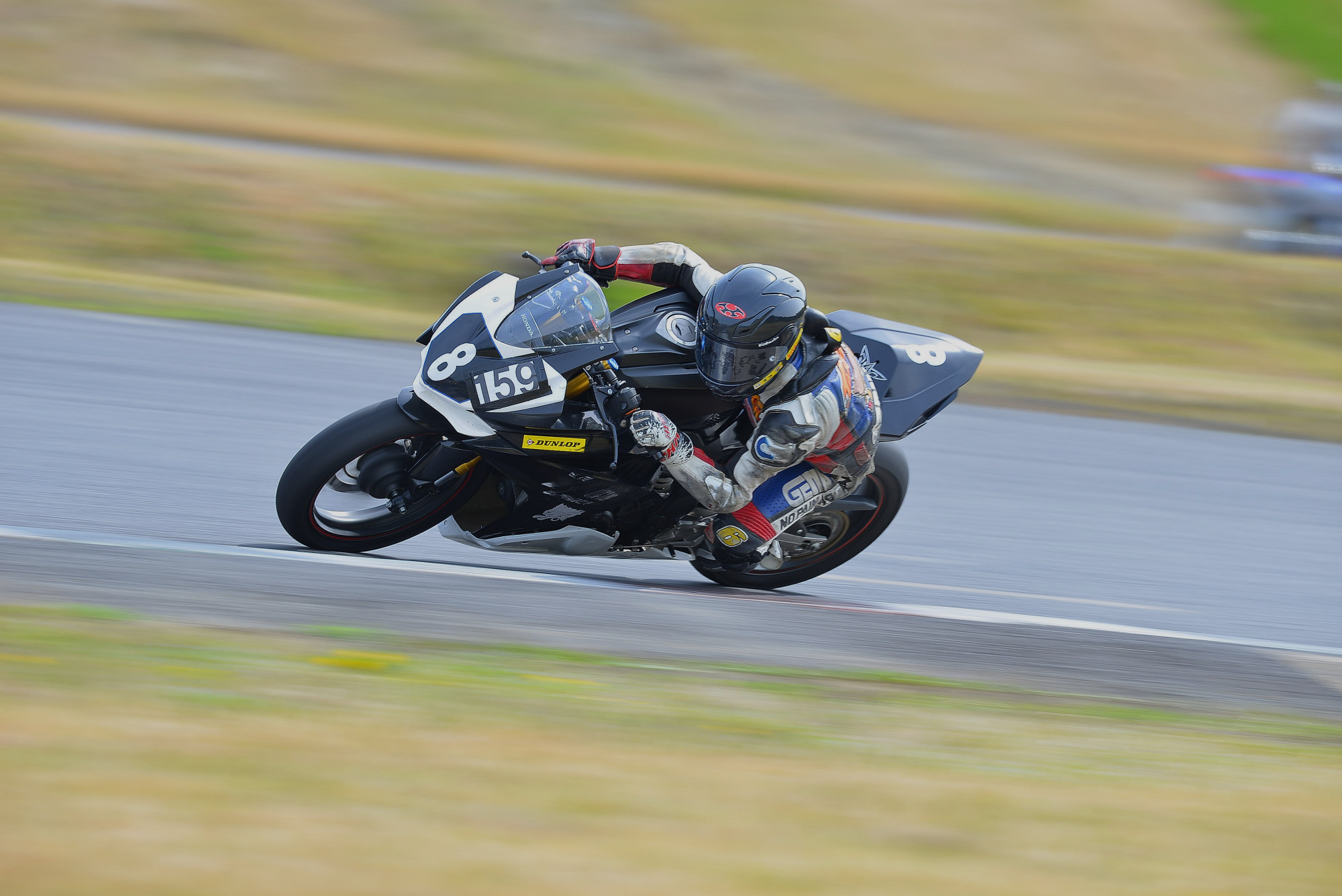 D8J_0139.JPG