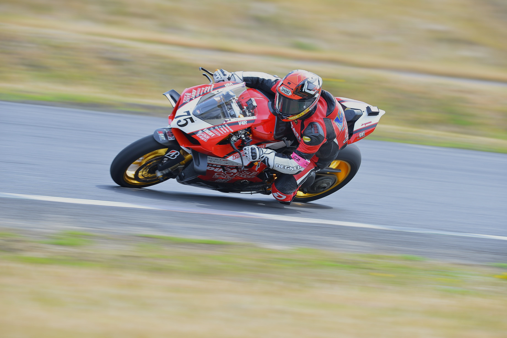 D8J_0141.JPG