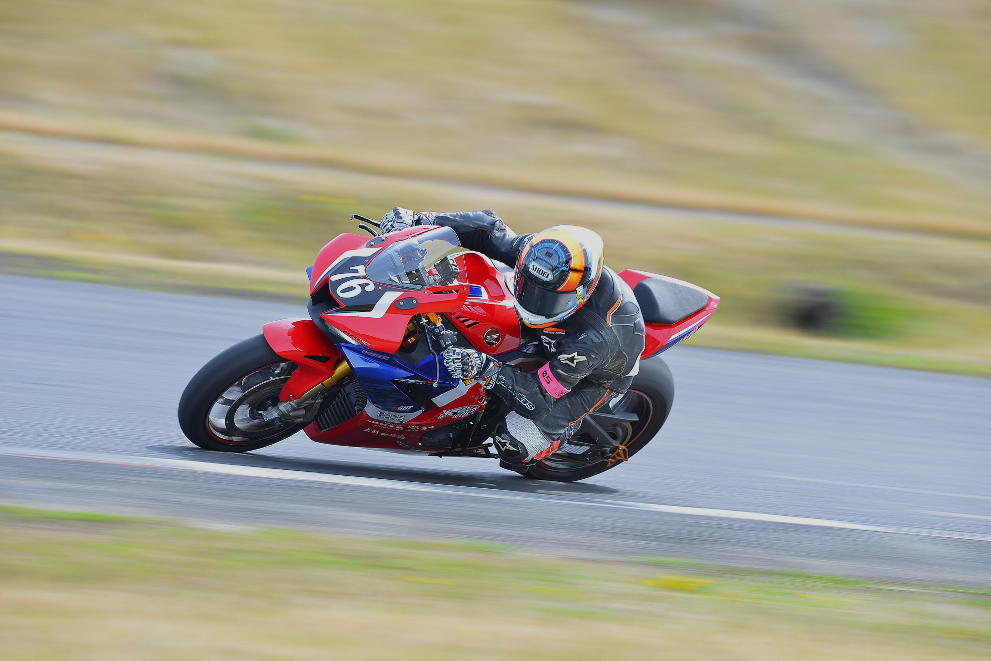 D8J_0143.JPG