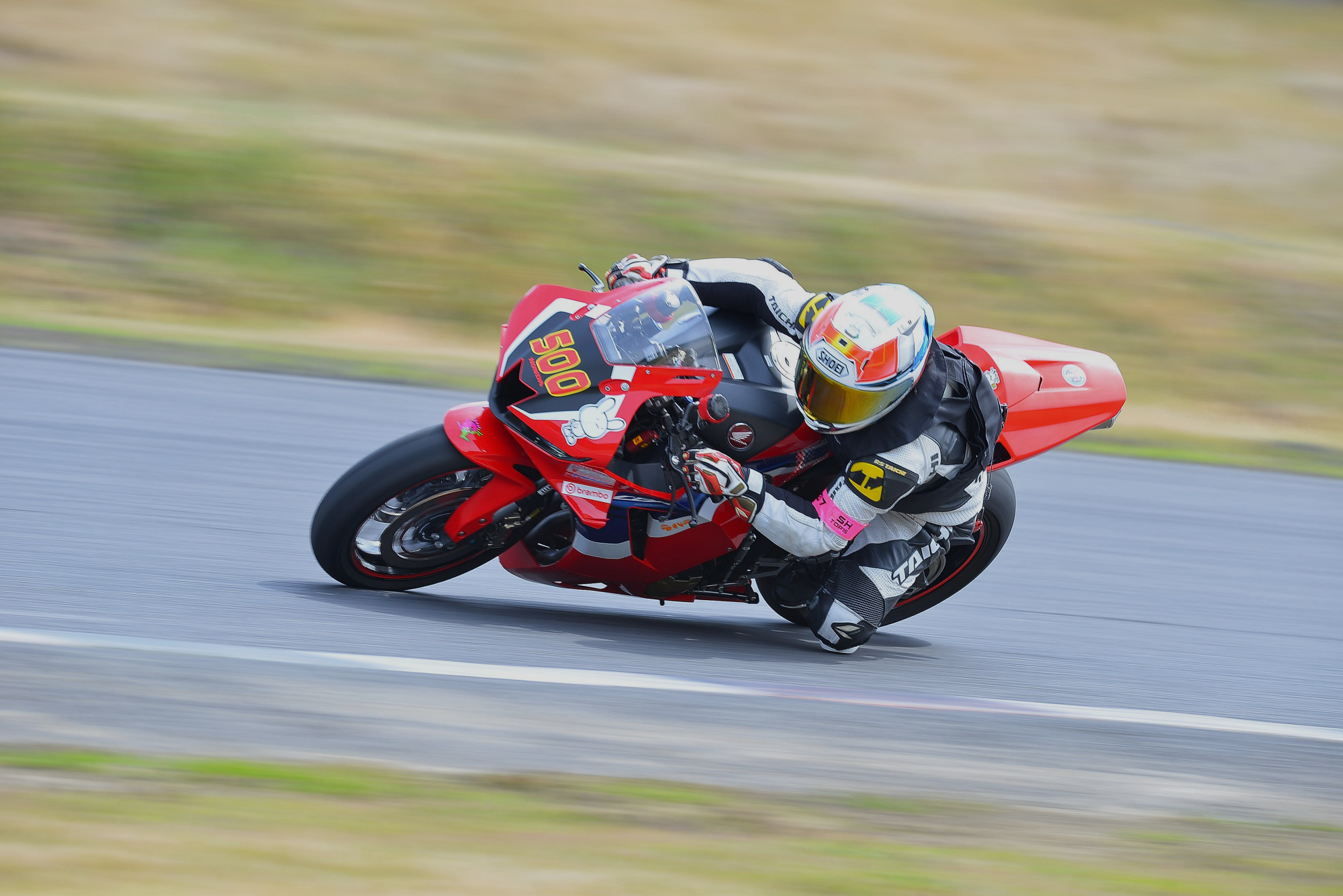 D8J_0145.JPG
