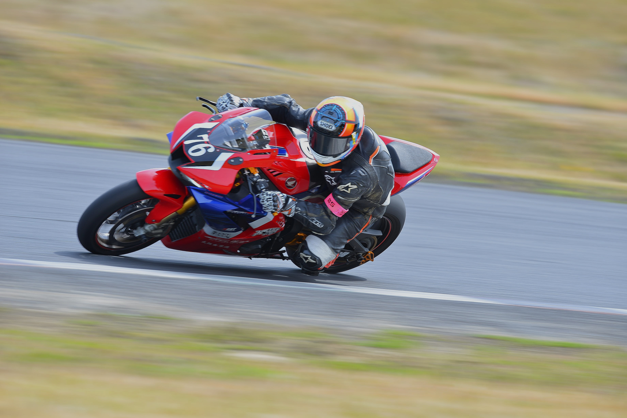 D8J_0151.JPG