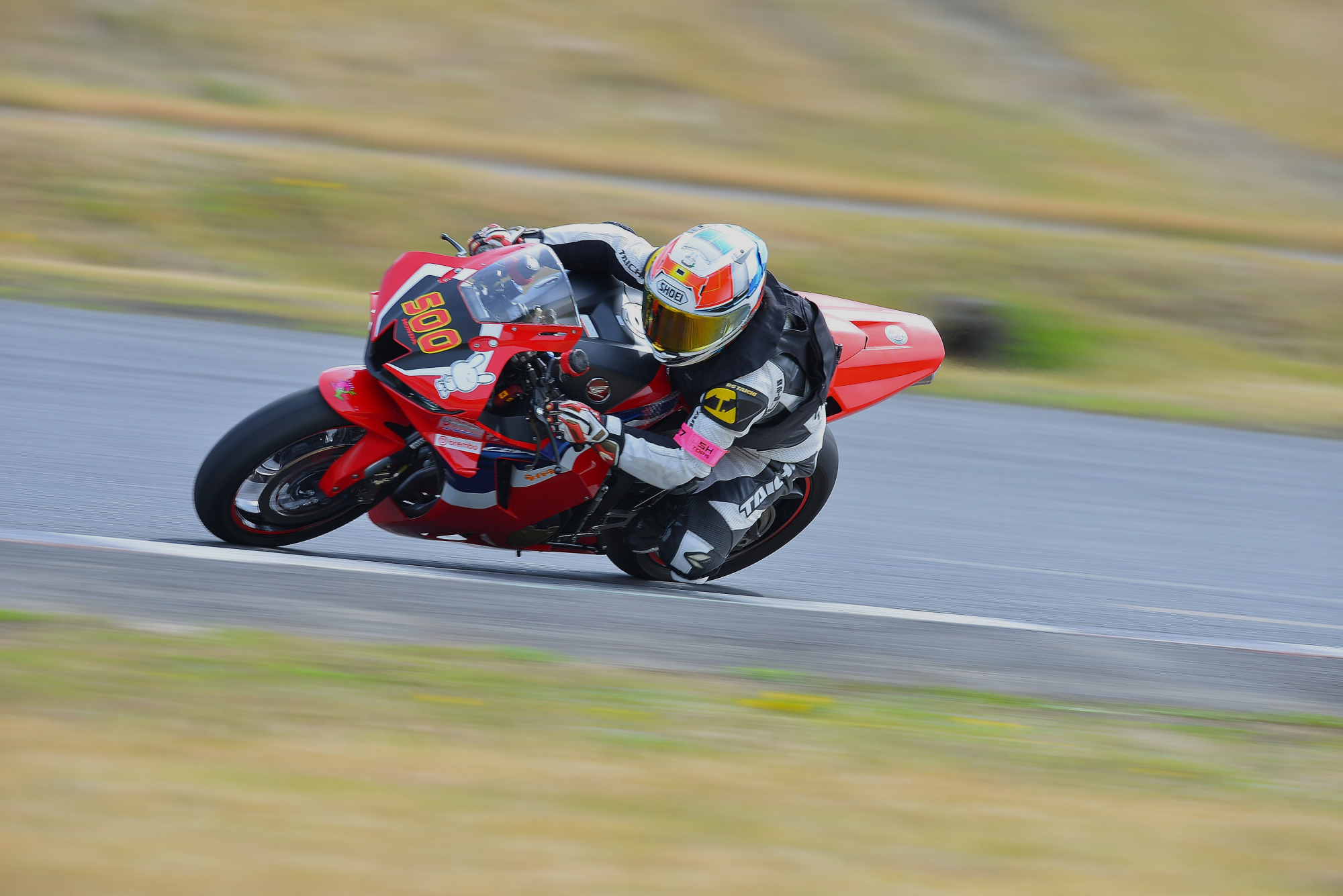 D8J_0155.JPG