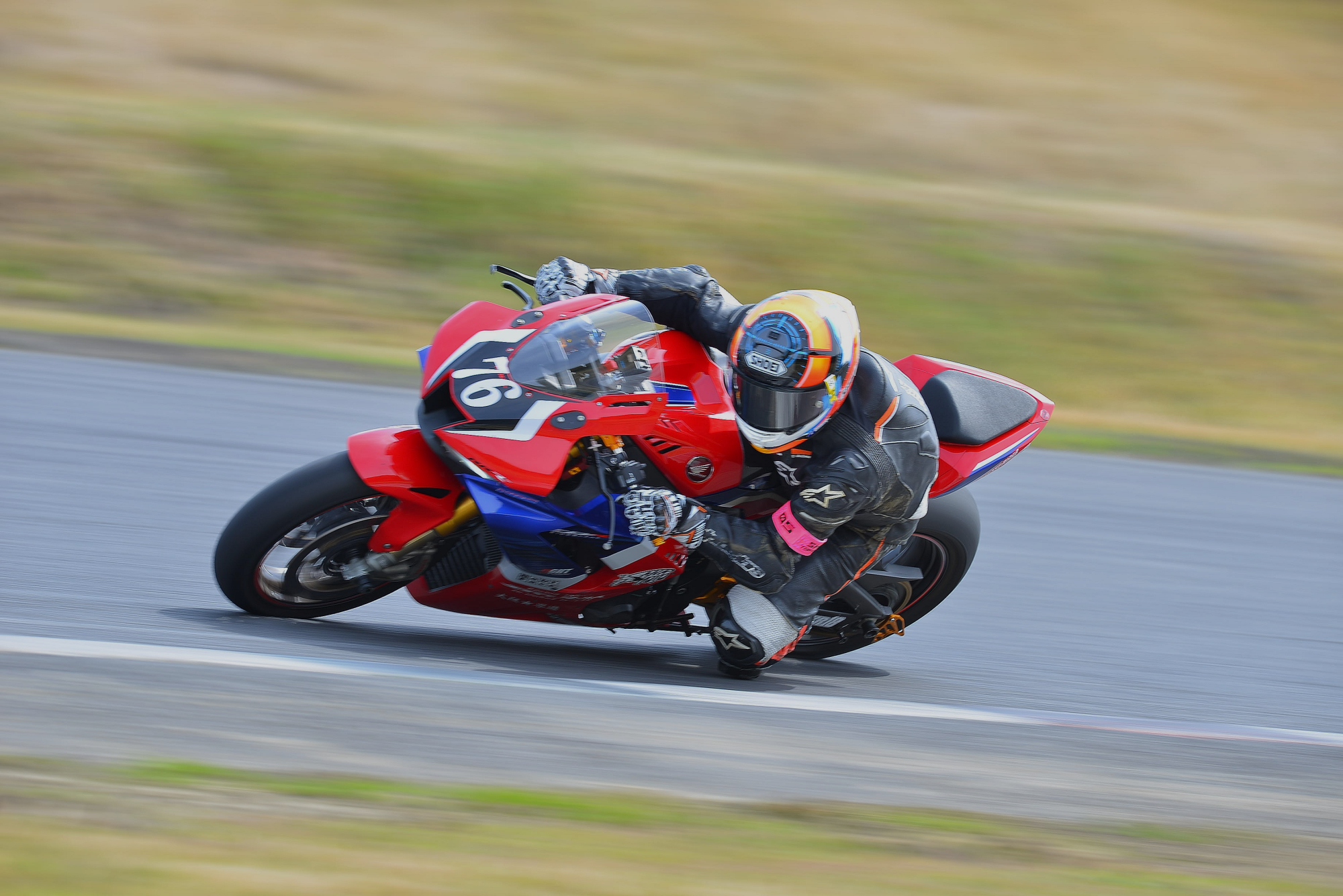 D8J_0166.JPG