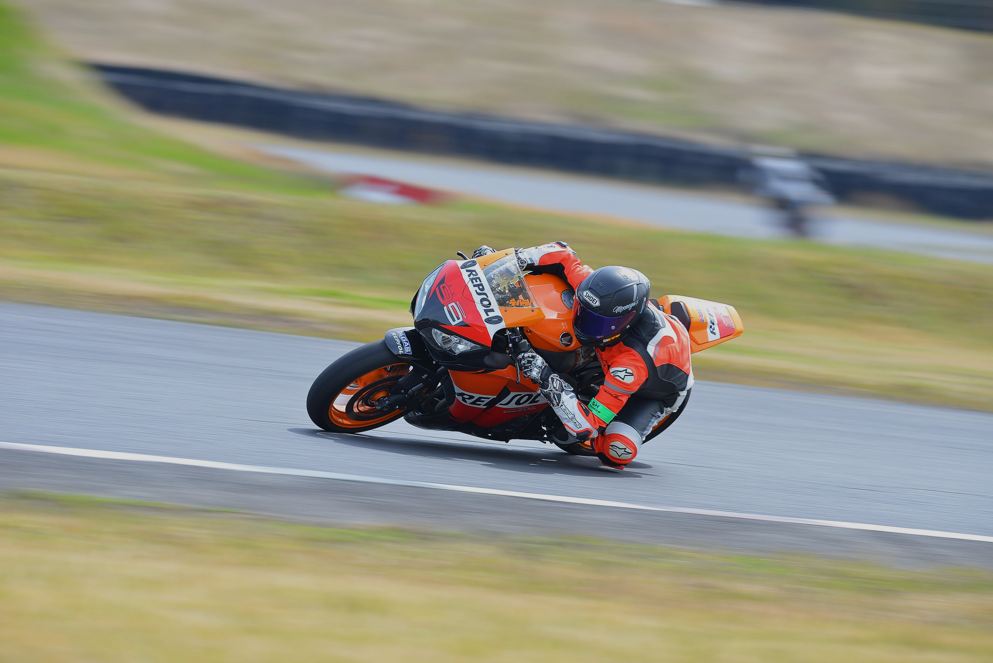 D8J_0167.JPG