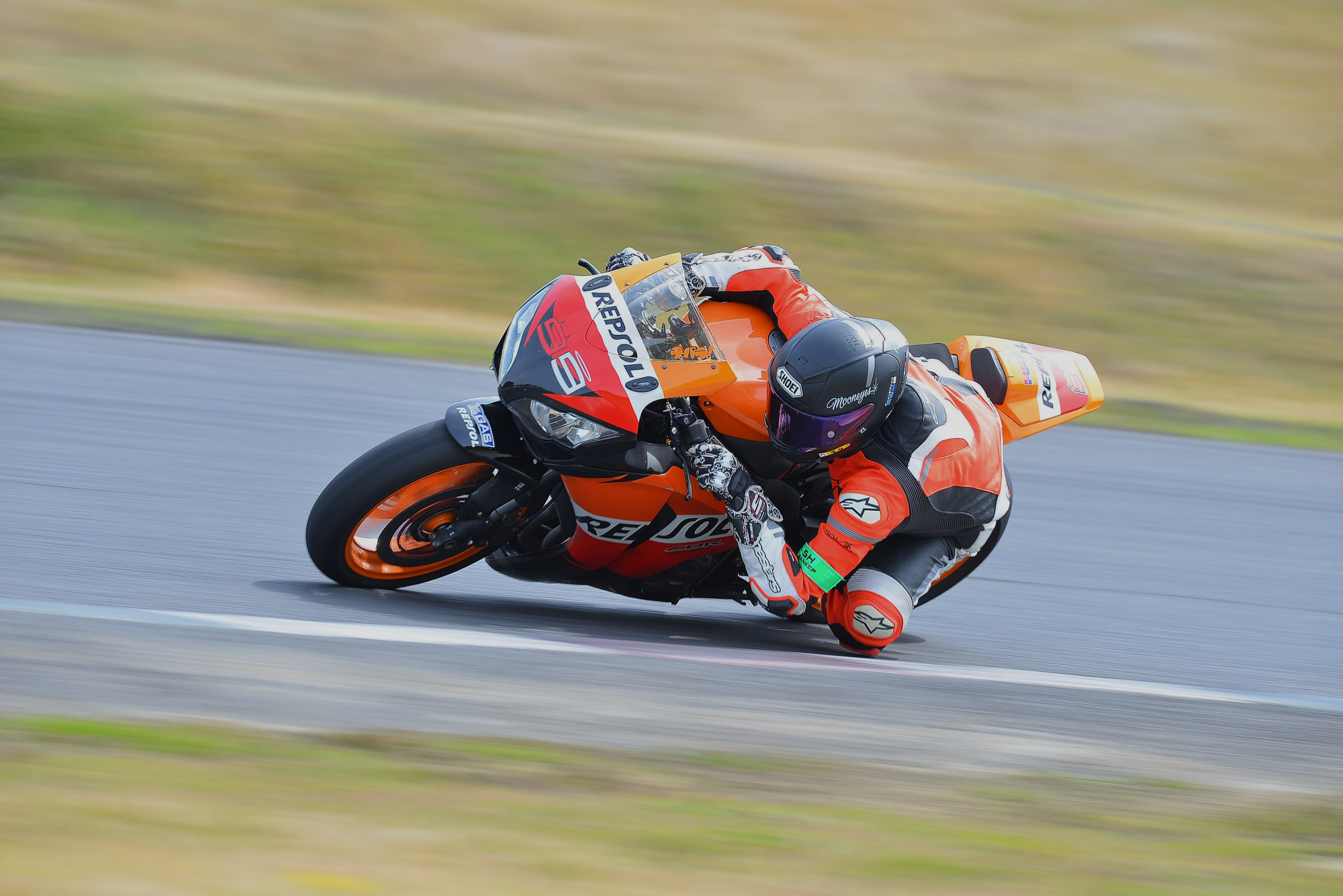 D8J_0168.JPG