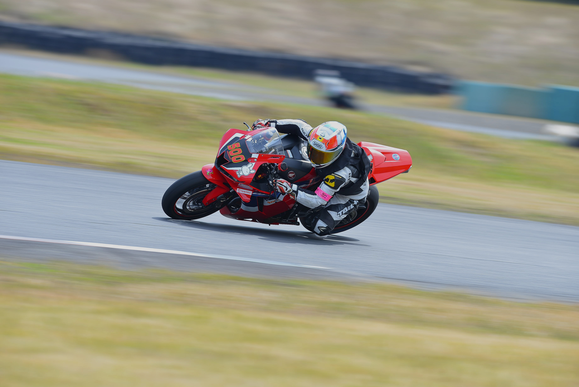 D8J_0169.JPG