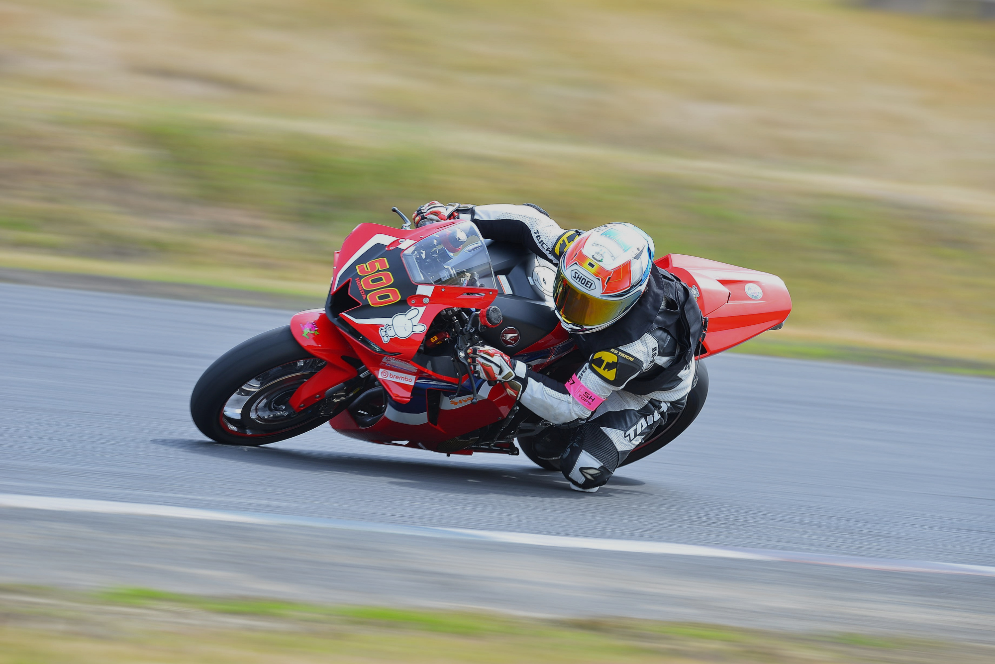 D8J_0170.JPG