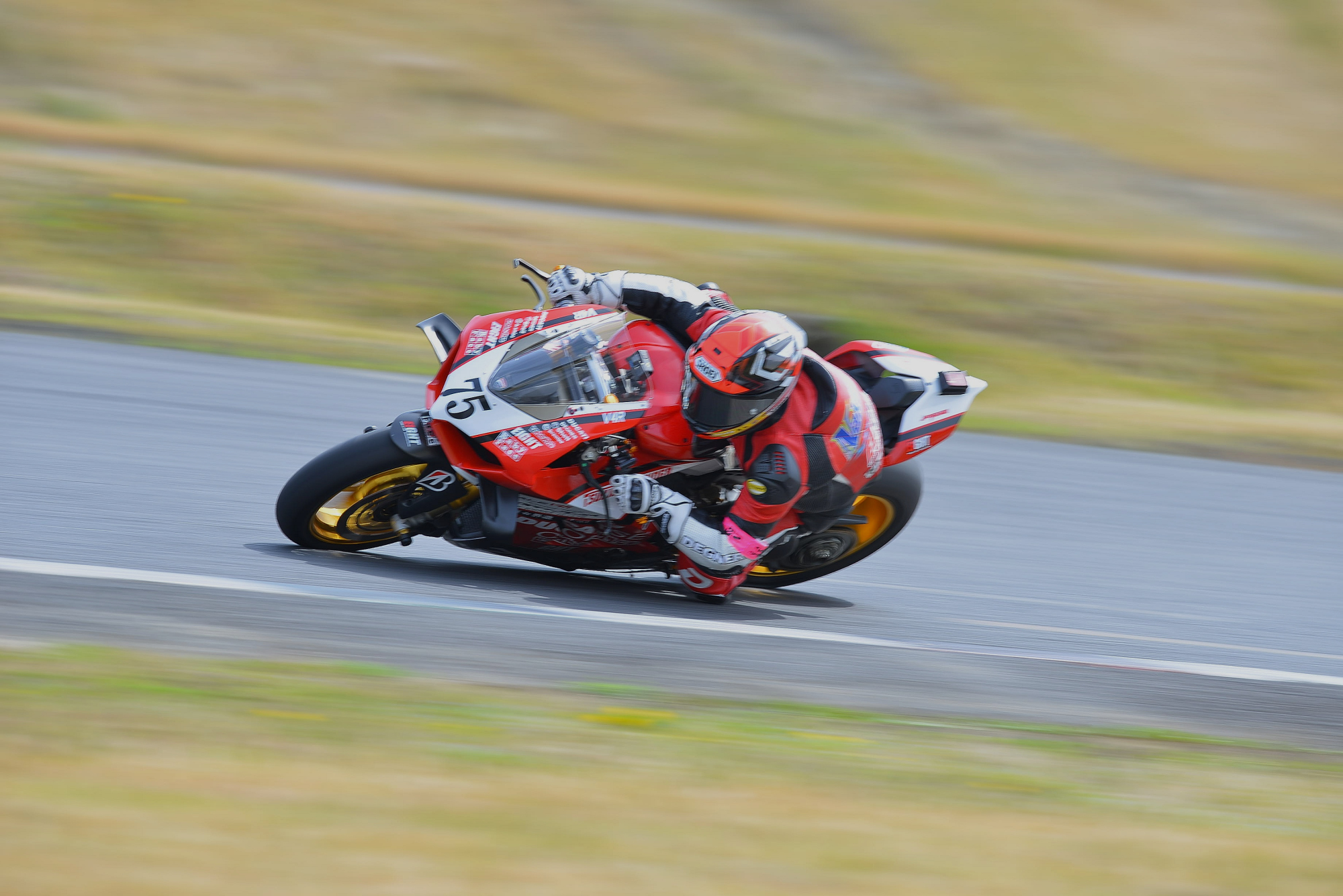 D8J_0175.JPG