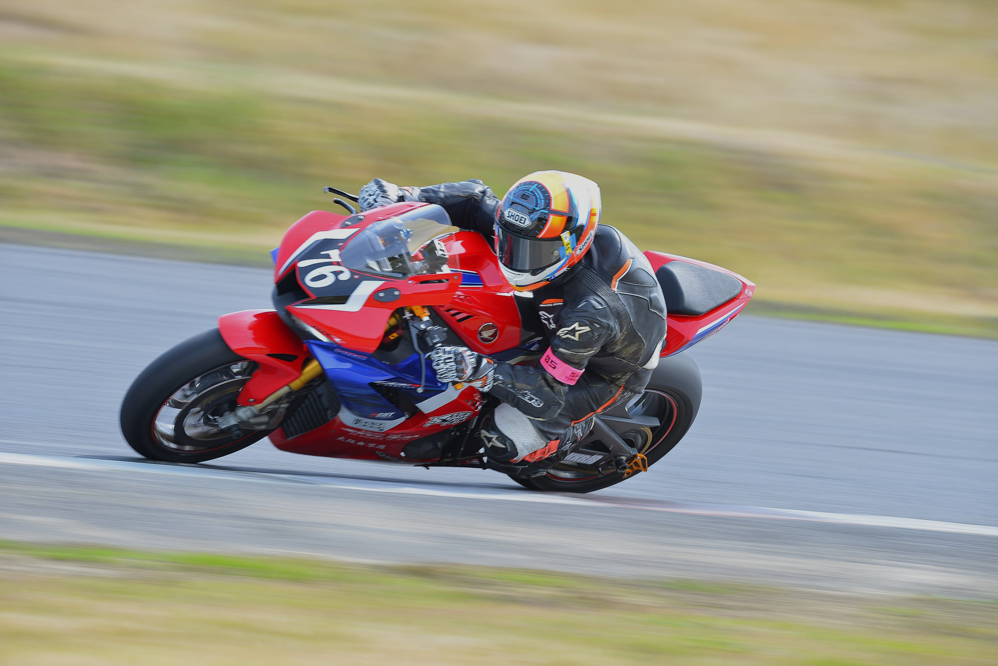D8J_0179.JPG
