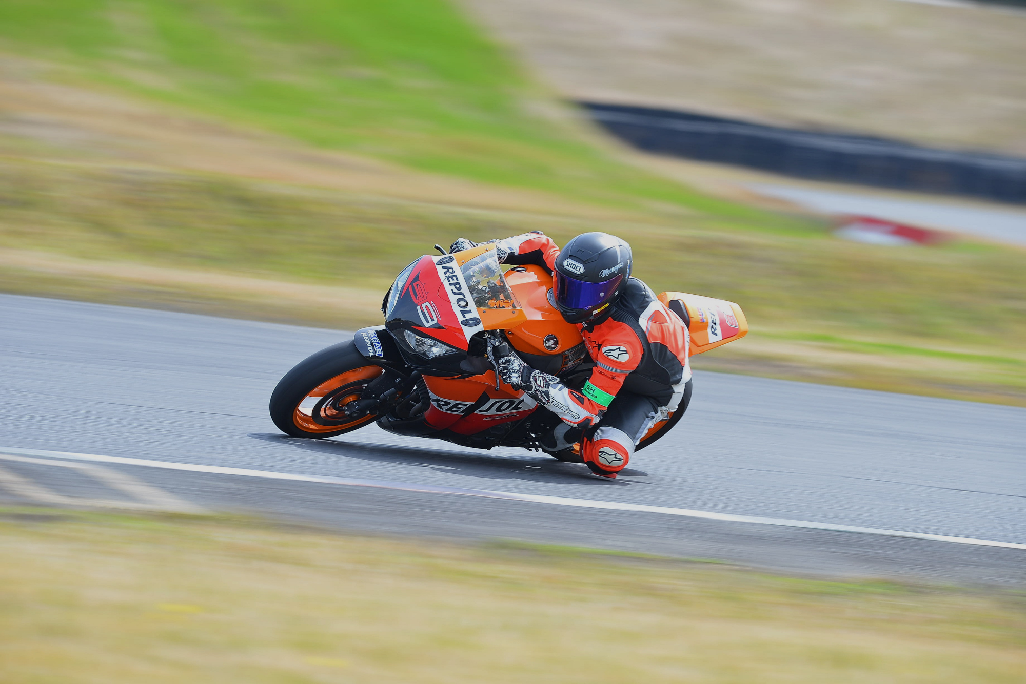 D8J_0180.JPG